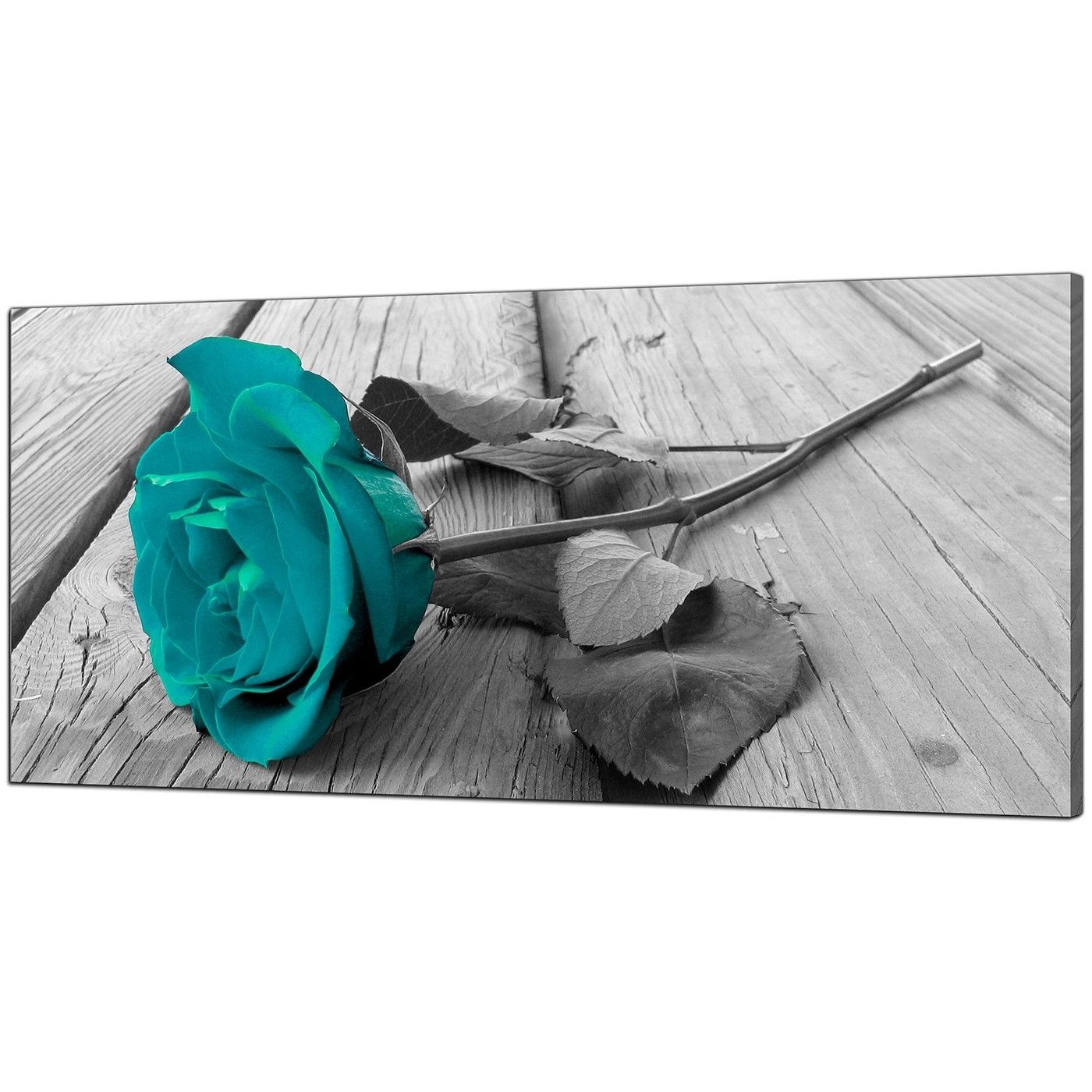 Black And Teal Wall Art In Recent Modern Black And White Canvas Wall Art Of A Teal Rose Flower (View 1 of 15)