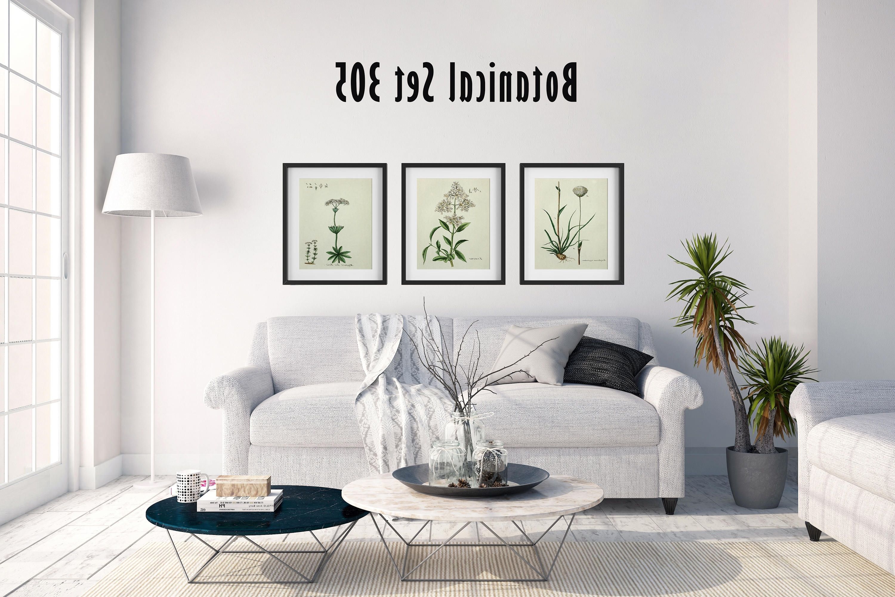 Country French Wall Art With Newest Set Of 3 Botanical Prints, White Floral Prints, Cottage Chic Decor (View 8 of 15)