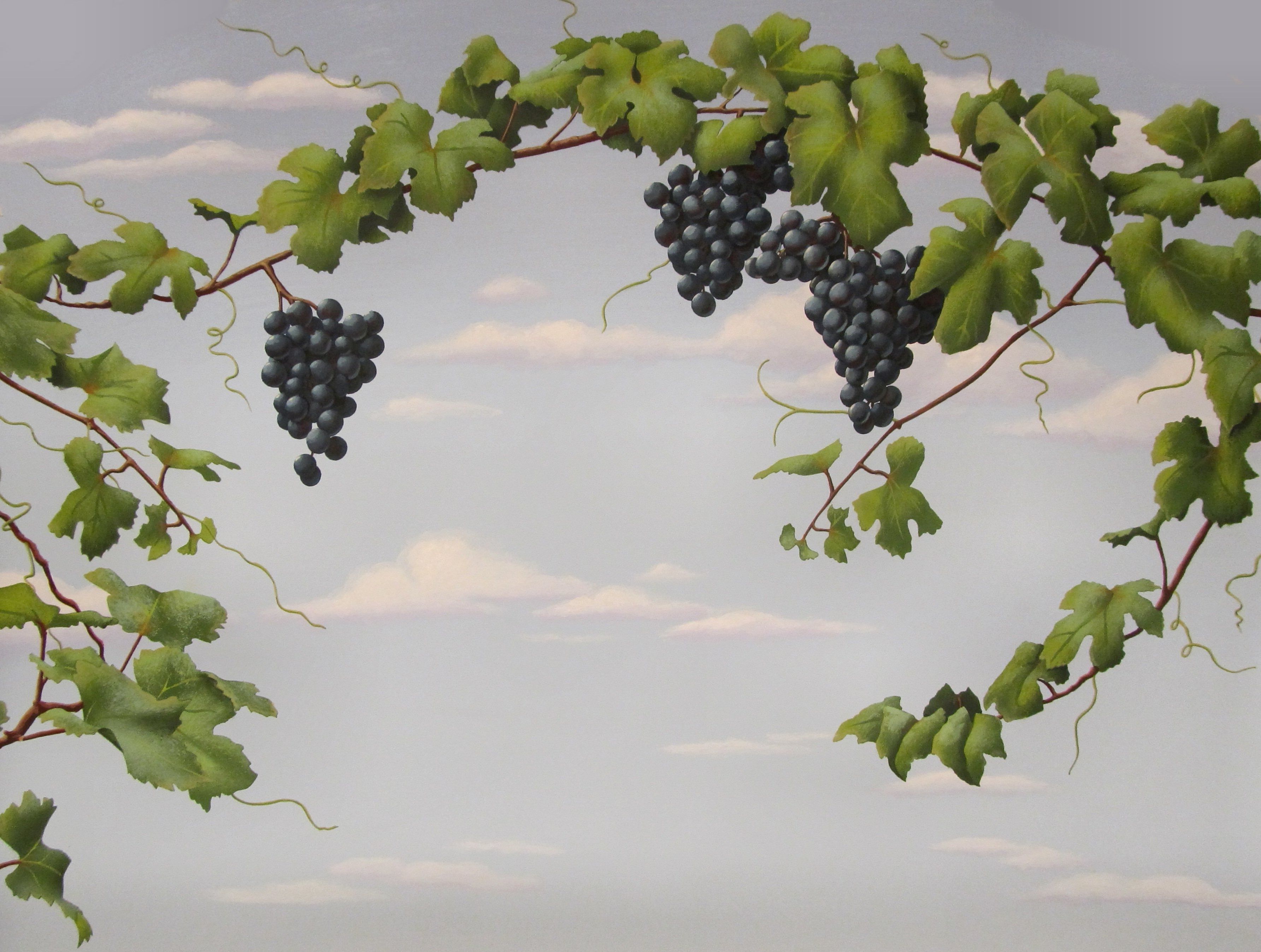 Favorite Grape Vineyard Wall Art In Our Grapes And Grapevine Stencils (View 2 of 15)