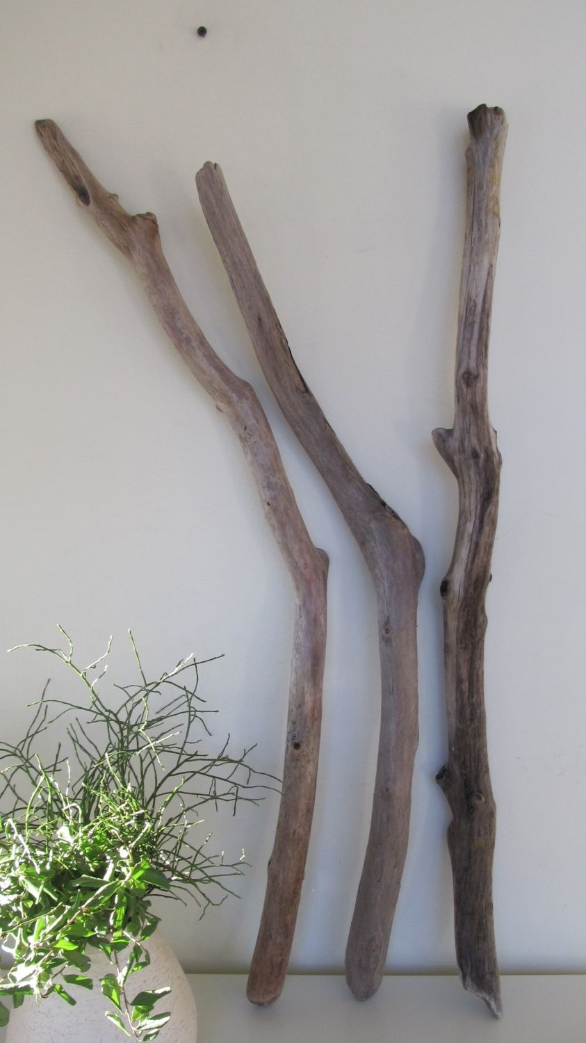 Large Driftwood Wall Art Throughout Preferred Diy Driftwood Wall Hanging Crafts & Decorations – 3 Large (View 11 of 15)