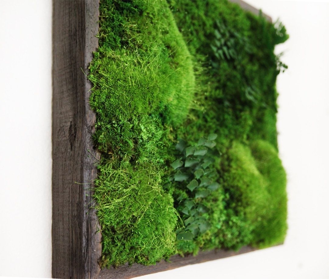 Most Recently Released Wall Art For Green Walls Inside 12"x12" Artisan Moss® Plant Painting® Moss And Ferns In Reclaimed (View 12 of 15)
