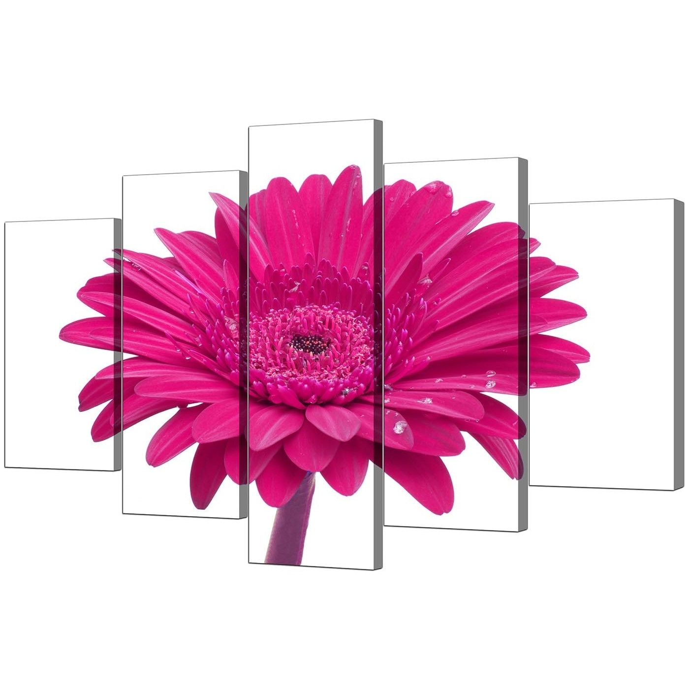 Pink Flower Wall Art Within Current Extra Large Flower Canvas Wall Art 5 Piece In Pink (View 1 of 15)