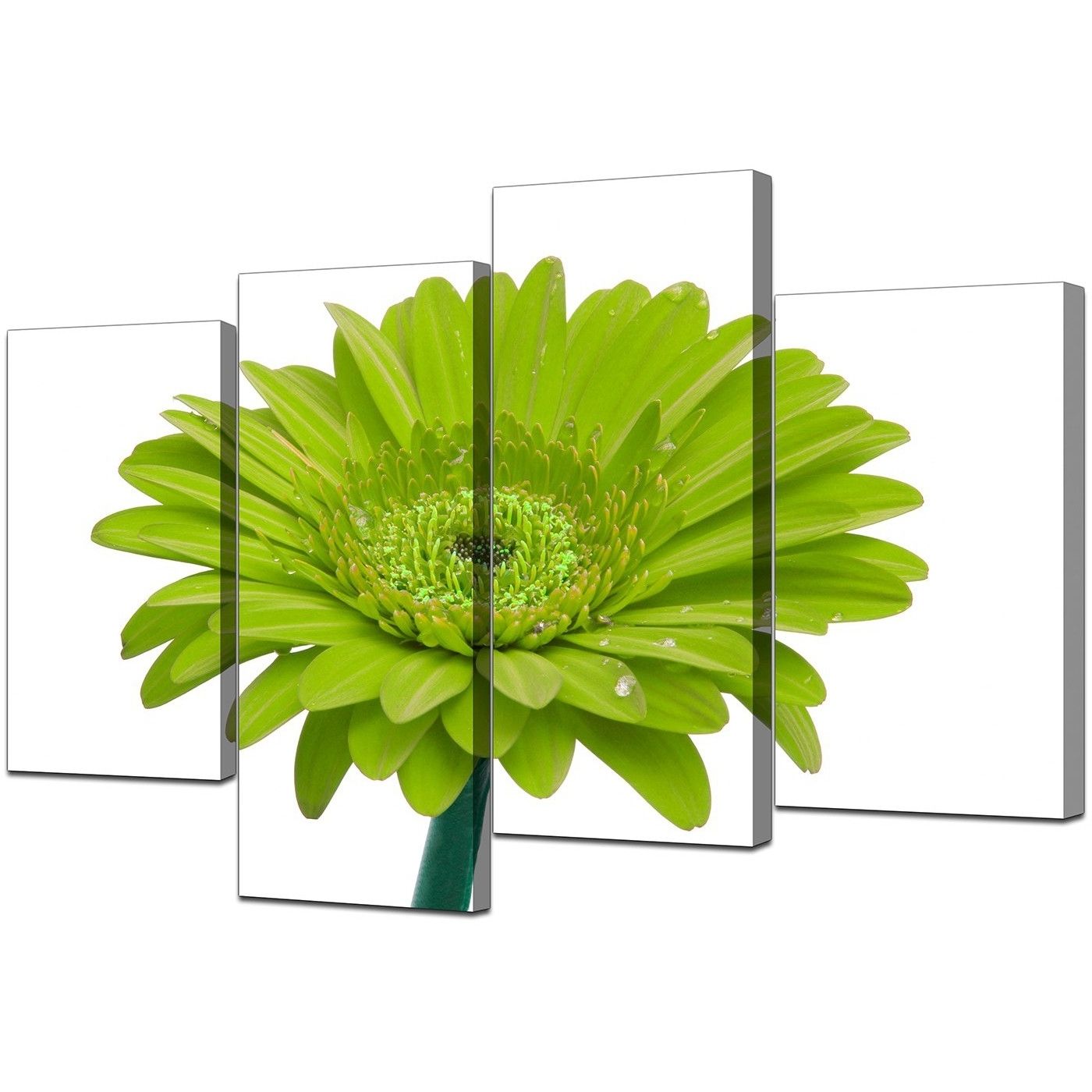 Popular Canvas Wall Art Of Flower In Lime Green For Your Living Room Within Lime Green Wall Art (View 3 of 15)