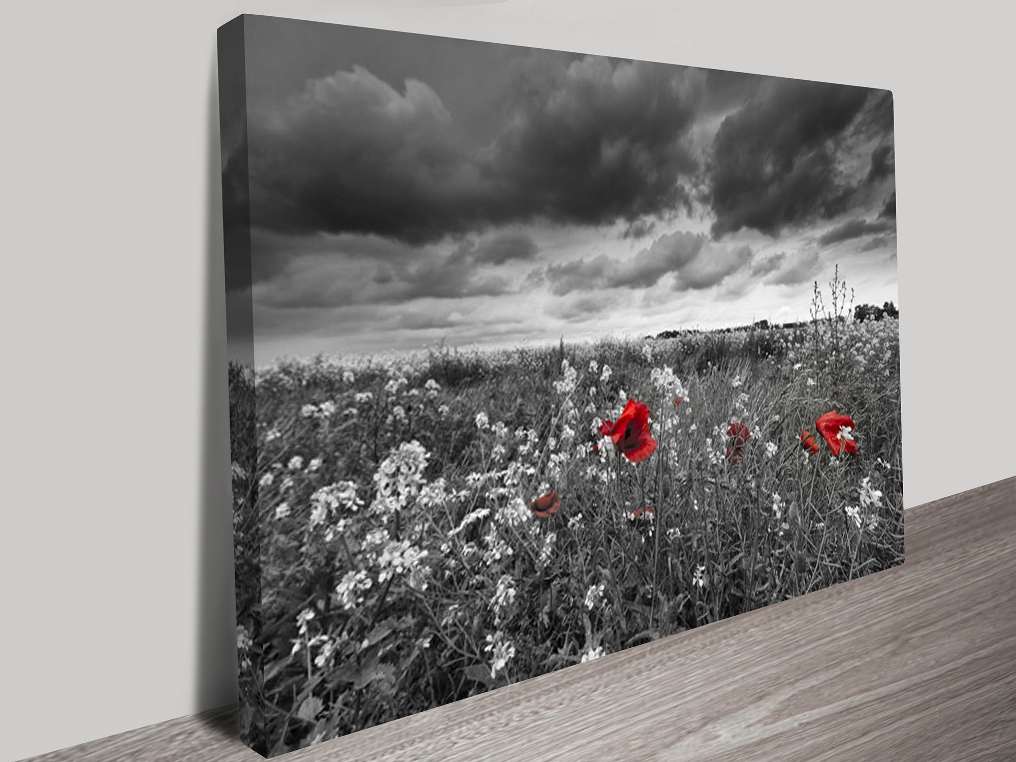 Red And Black Canvas Wall Art Intended For Popular Red Poppy Field Black And White Canvas Art (View 7 of 15)