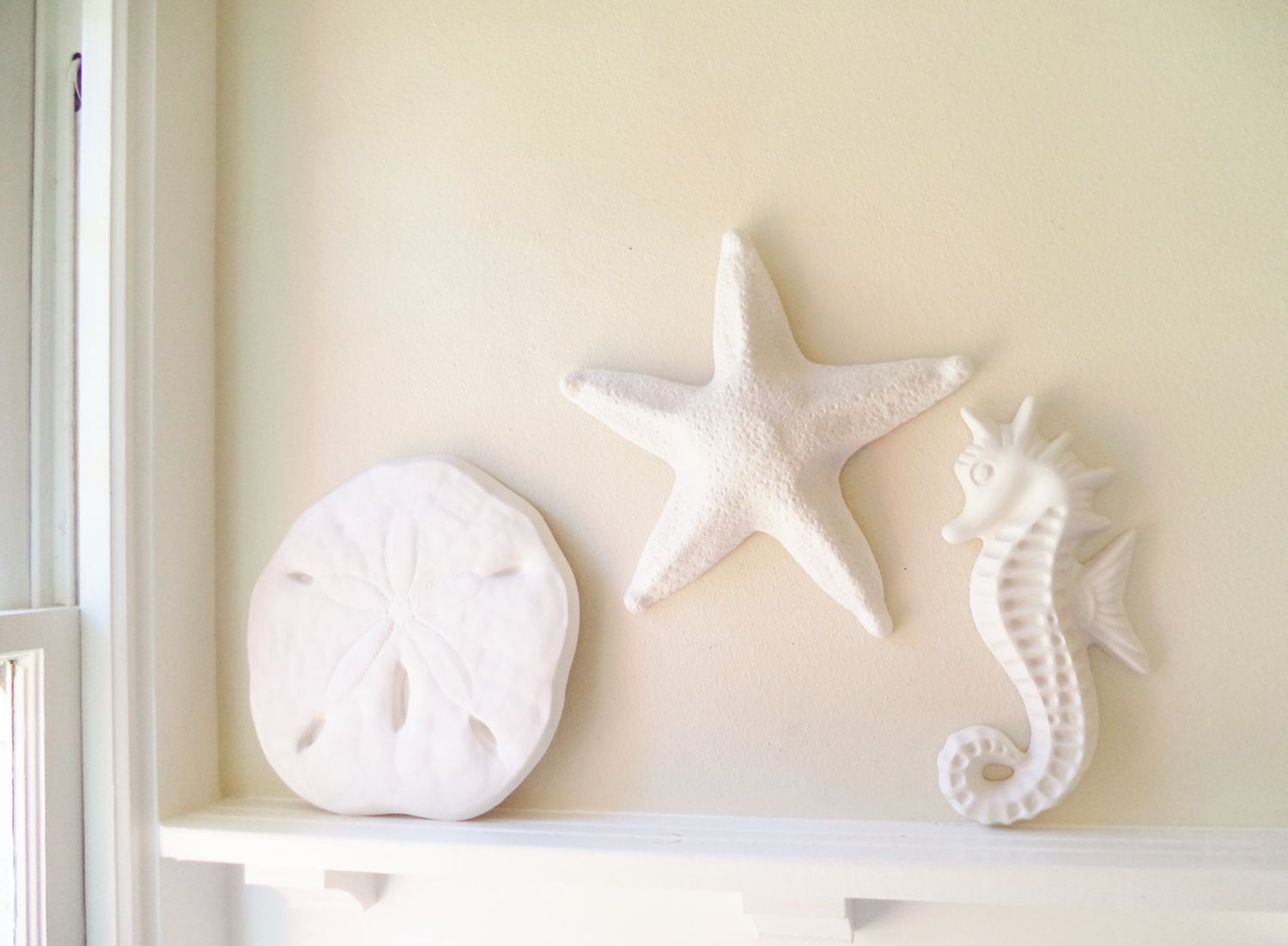 Sand Dollar Wall Art With Regard To Most Recent Large Sea Shell Wall Hanging Sculpture, Set Decor, White Sea Shell (View 9 of 15)