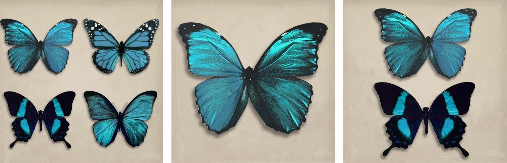 Teal Butterflies Set Of 3 Canvasesarthouse : Wallpaper Direct Regarding Recent Butterfly Canvas Wall Art (View 6 of 15)
