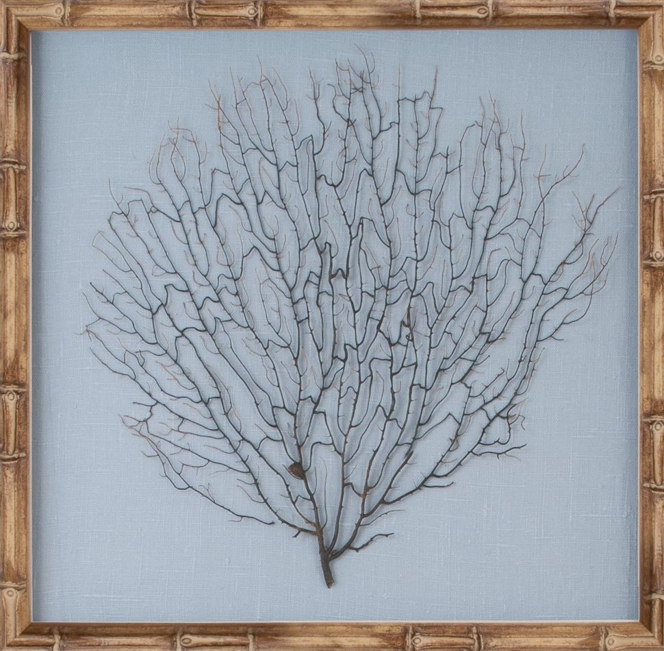 The Well Appointed House – Luxuries For The Home – The Well Within Well Liked Sea Fan Wall Art (View 4 of 15)