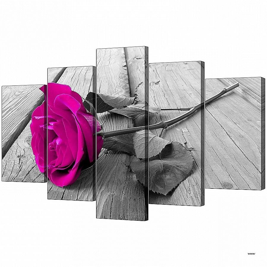 Trendy Pink And White Wall Art With Regard To Pink And White Wall Art Best Of Extra Pink Rose Canvas Prints  (View 13 of 15)