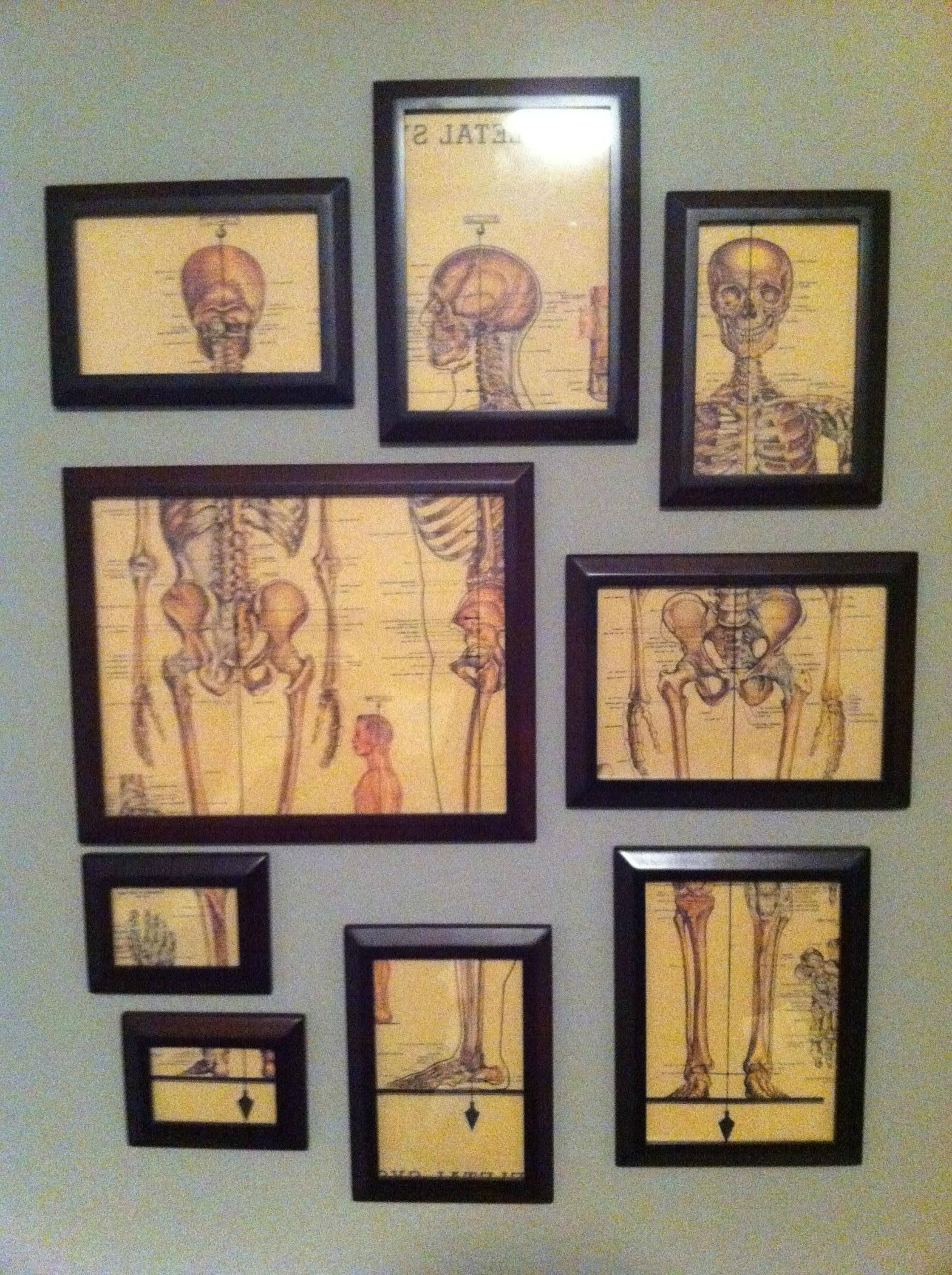 Vintage Medical, Medical Illustration And Regarding Current Chiropractic Wall Art (View 1 of 15)