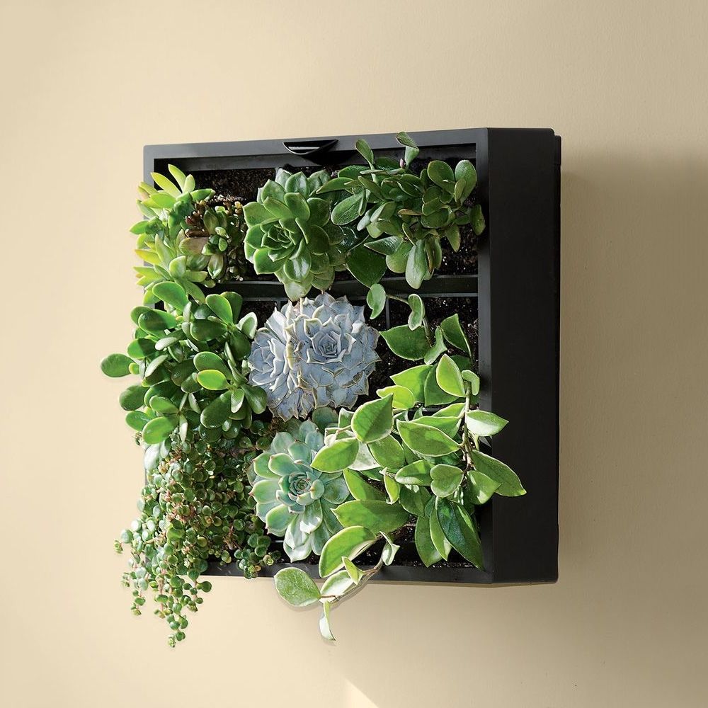 Well Liked Living Art Green Wall / Tabletop Planter (View 9 of 15)