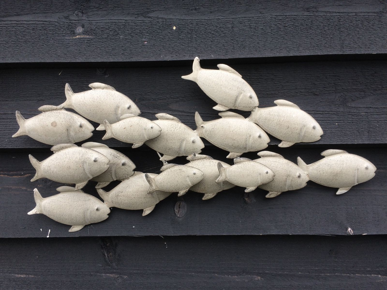 15 Collection of Fish 3D Wall Art
