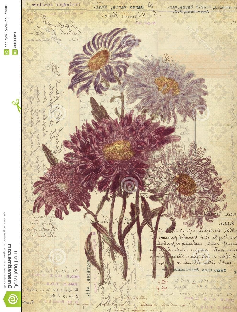 Widely Used Vintage Style Wall Art Inside Flowers Botanical Vintage Style Wall Art With Textured Background (View 1 of 15)