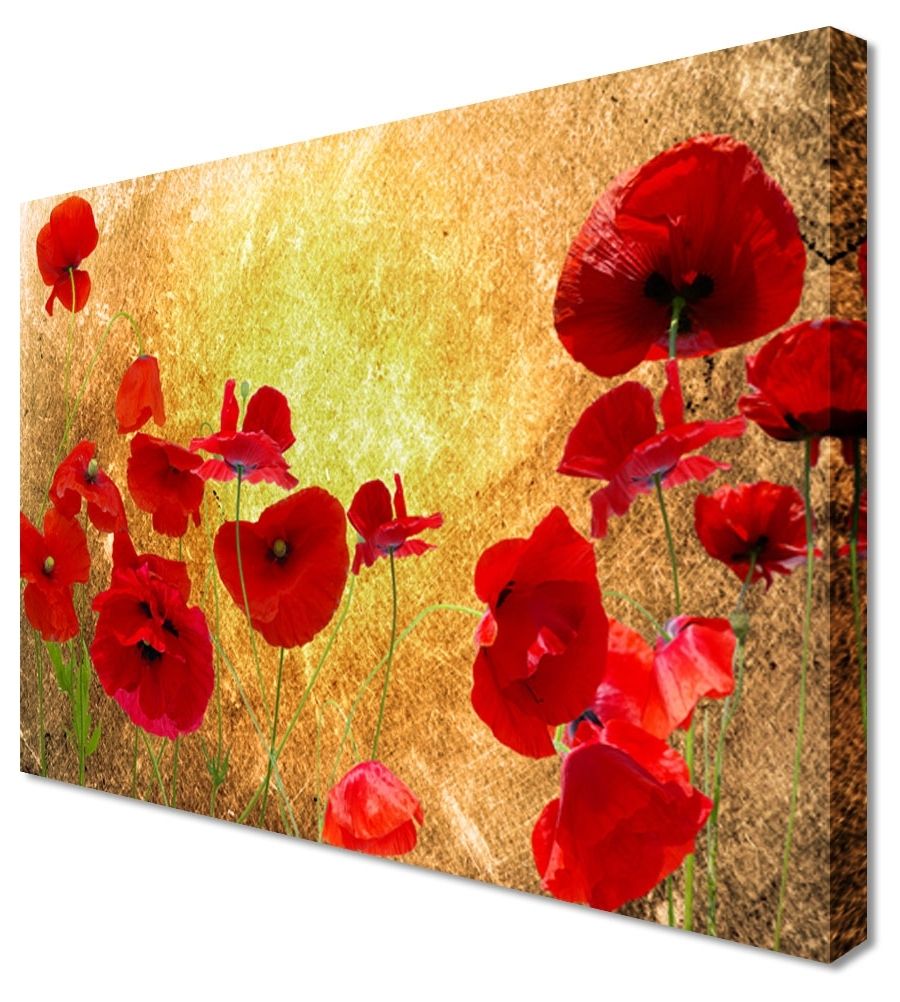 Latest Poppies Canvas Wall Art For Wall Art: Adorable Pictures Poppy Canvas Wall Art Poppy Flower (View 5 of 15)