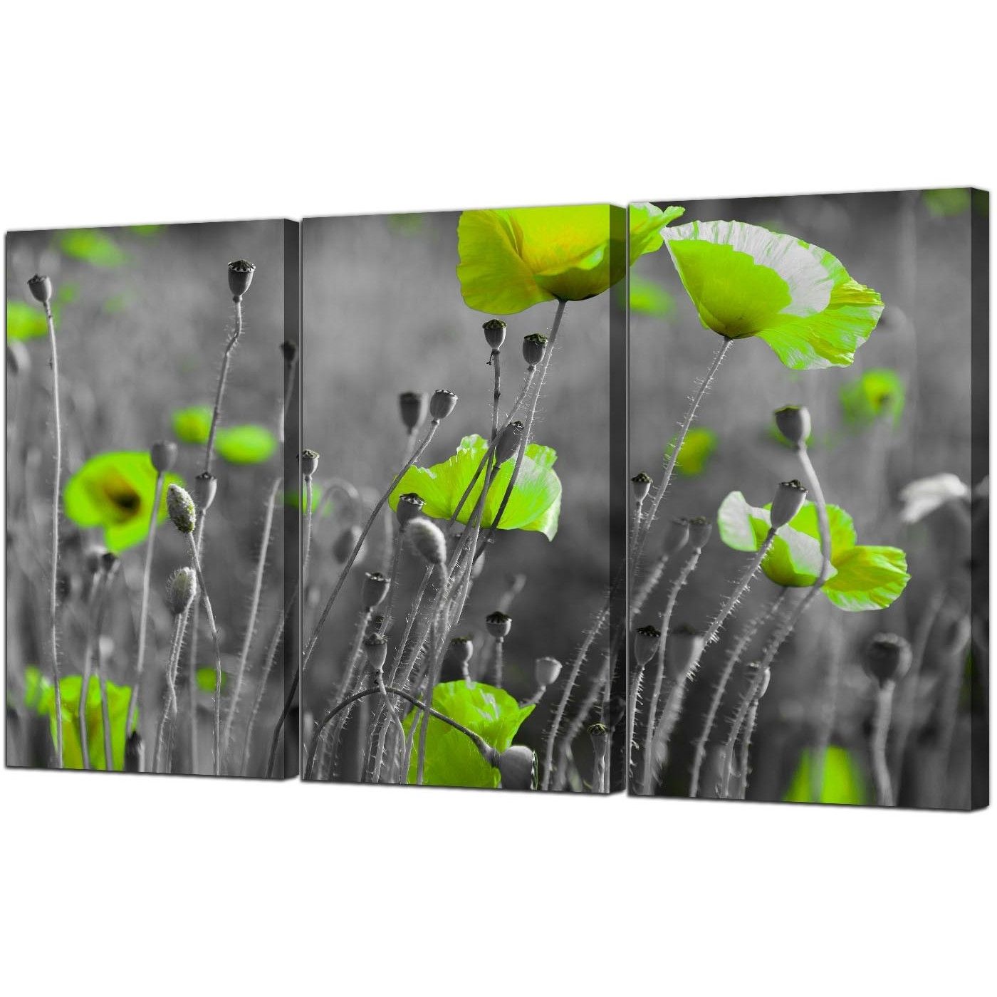 Most Current Lime Green Canvas Wall Art Intended For Green Poppy Canvas Wall Art 3 Part For Your Living Room (View 1 of 15)
