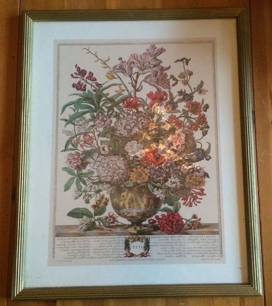 Most Popular Framed Botanical Print Flowers Bouquet Month Of July Robert Furber In Flowers Framed Art Prints (View 5 of 15)