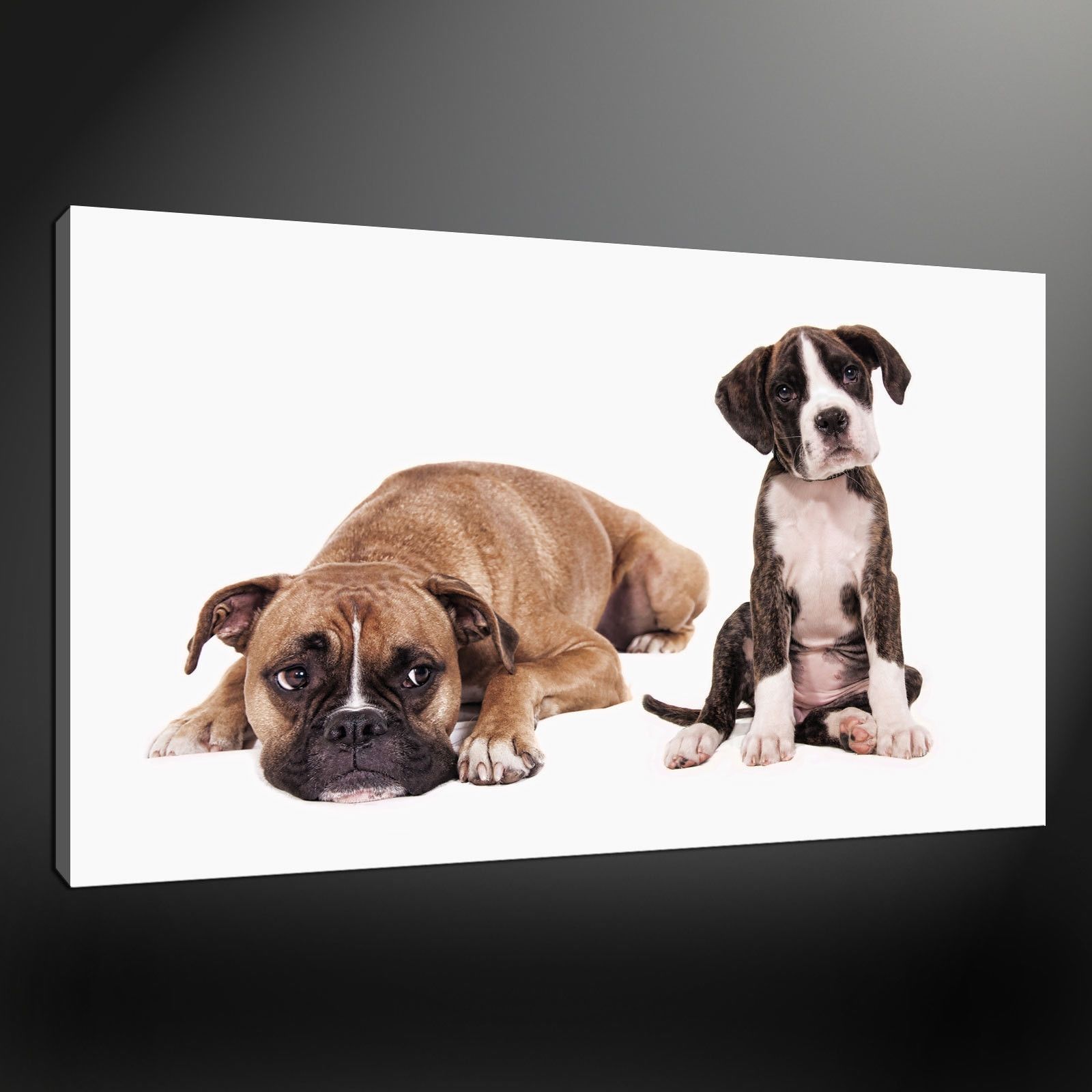 Widely Used Canvas Print Pictures. High Quality, Handmade, Free Next Day Delivery (View 4 of 15)