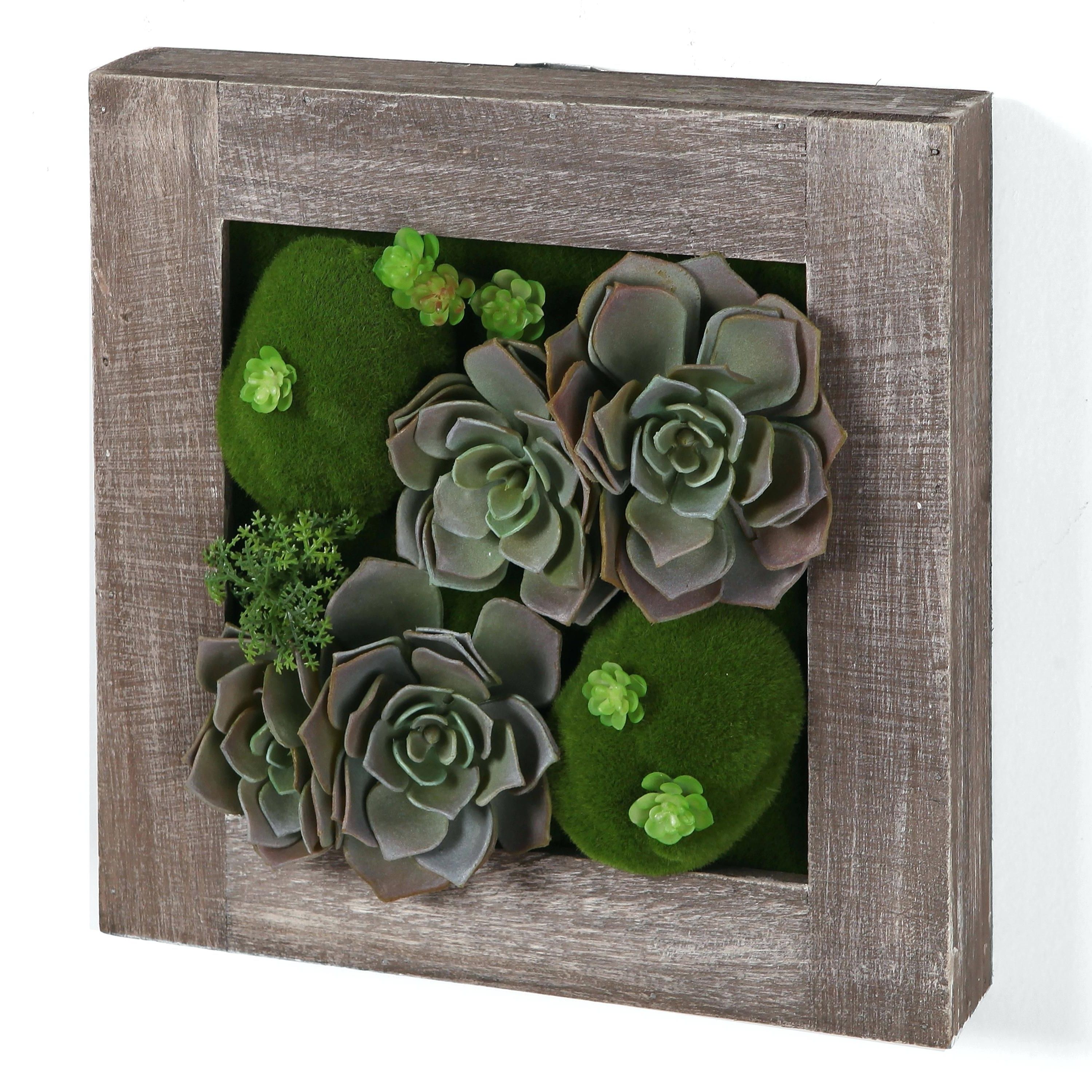 Best And Newest Succulent Wall Art For Succulent Wall Art Care Target Wallpaper Desktop – Restorethelakes (View 17 of 20)