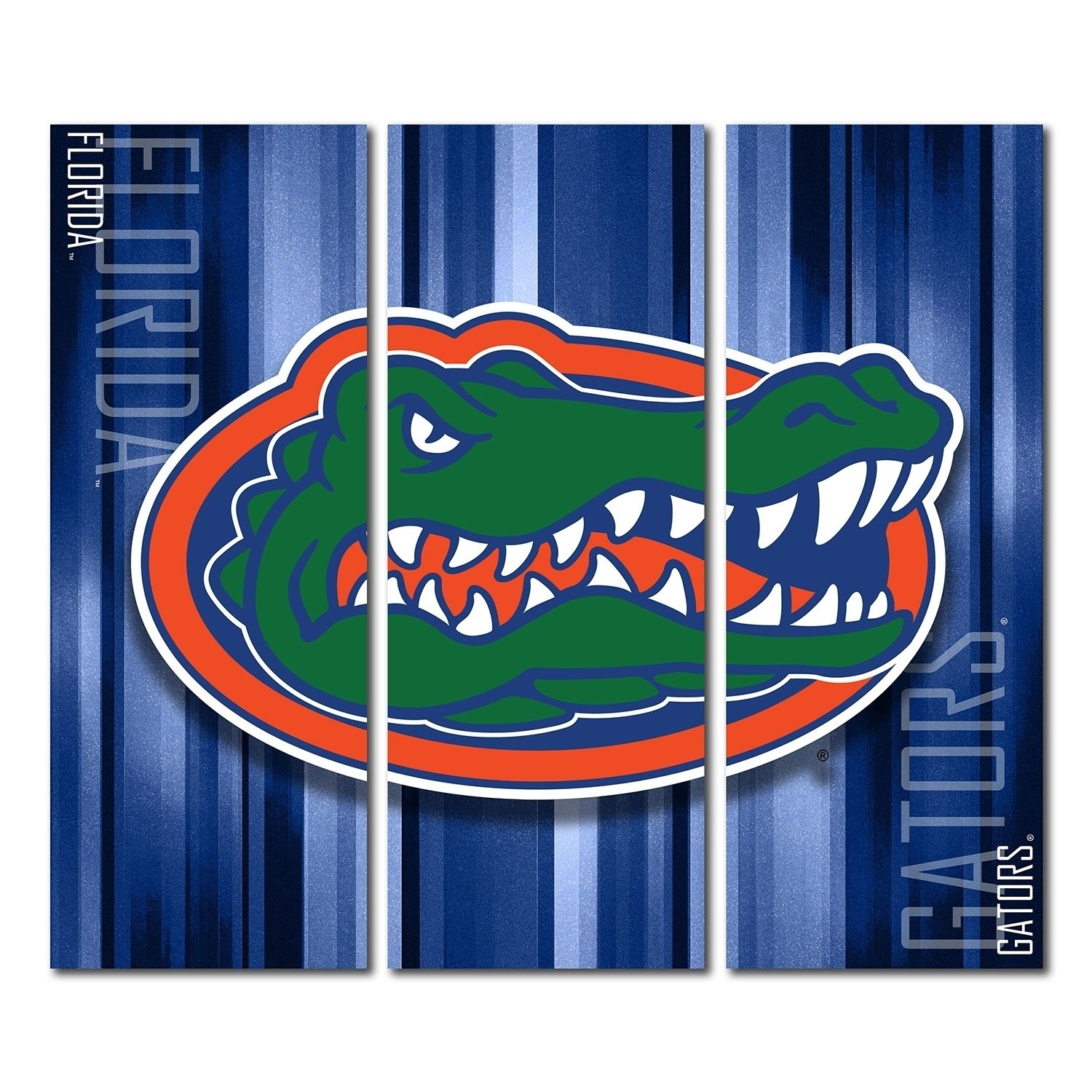 Florida Wall Art Pertaining To 2017 Image Gallery Of Florida Gator Wall Art View 3 15 Photos Stunning (View 12 of 20)