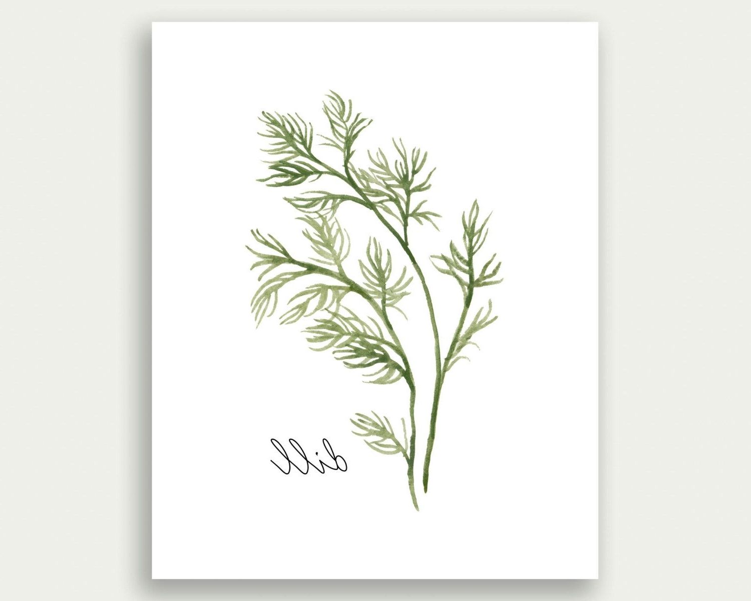 Herbs Printable, Dill Printable, Herbs Wall Art, Herbs Print, Dill Pertaining To Preferred Herb Wall Art (Photo 1 of 20)