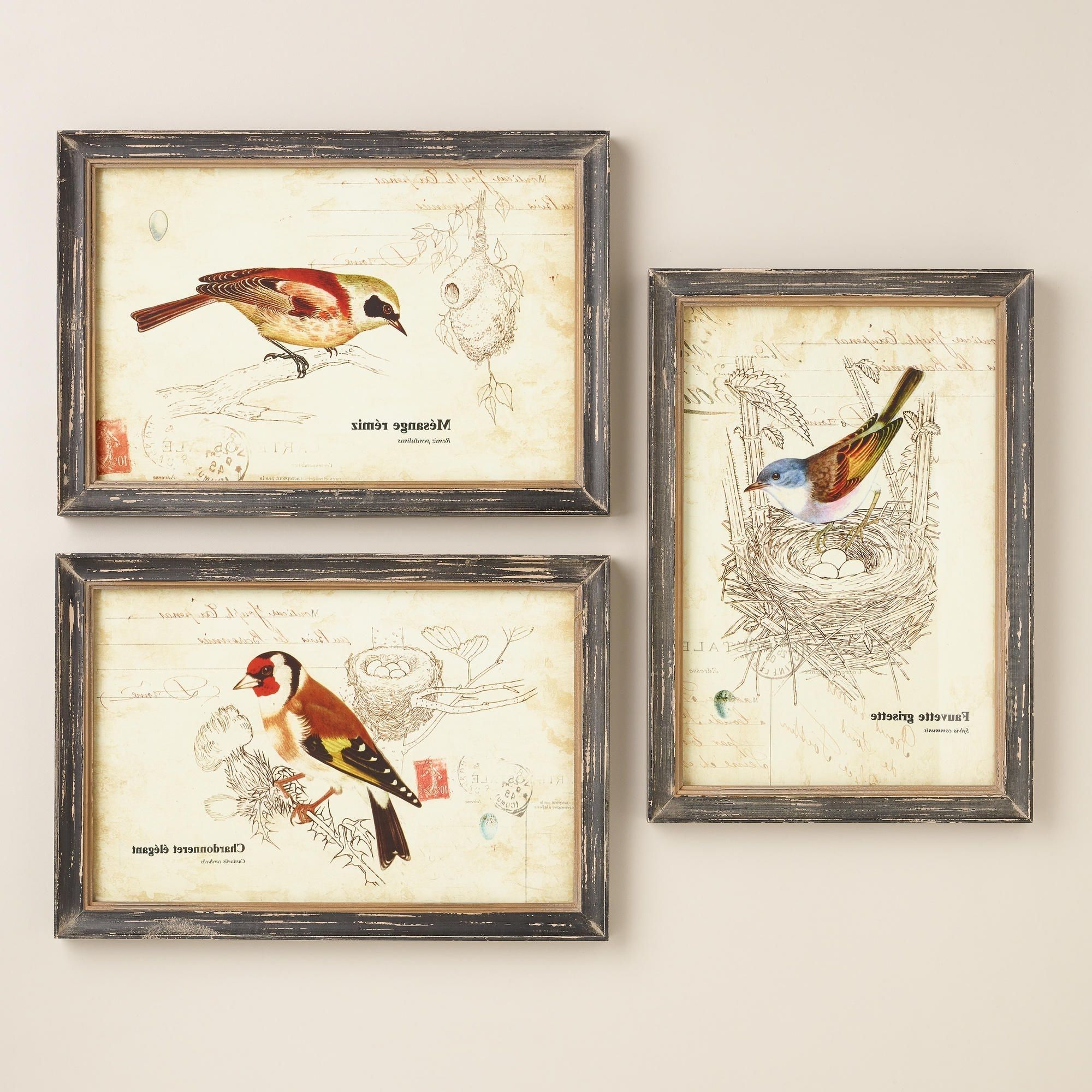 Nature Birds Wall Art, Set Of  (View 1 of 20)