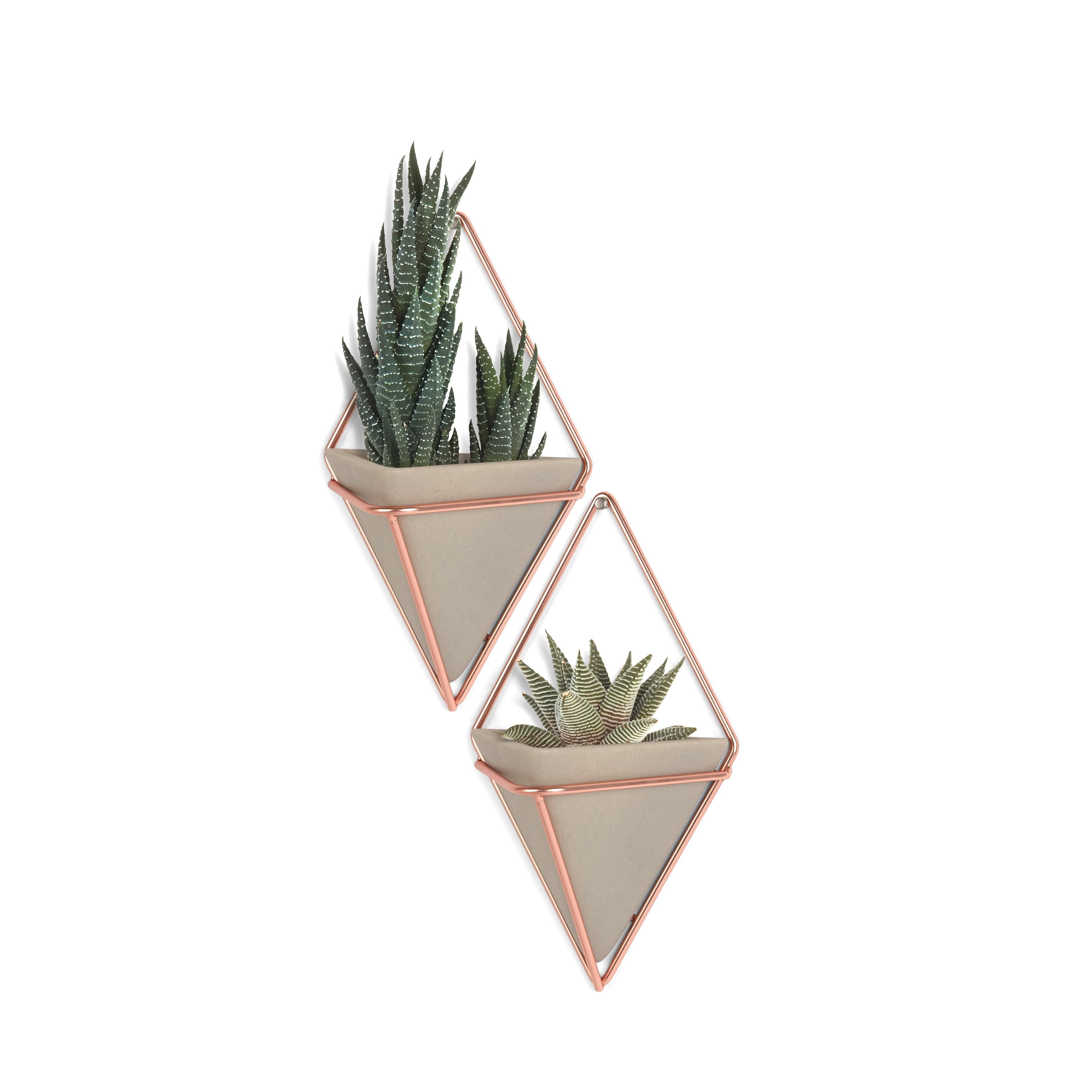 Trigg Ceramic Planter Wall Decor Pertaining To Most Recent Umbra Trigg Hanging Planter Vase & Geometric Wall Decor Container (View 1 of 20)