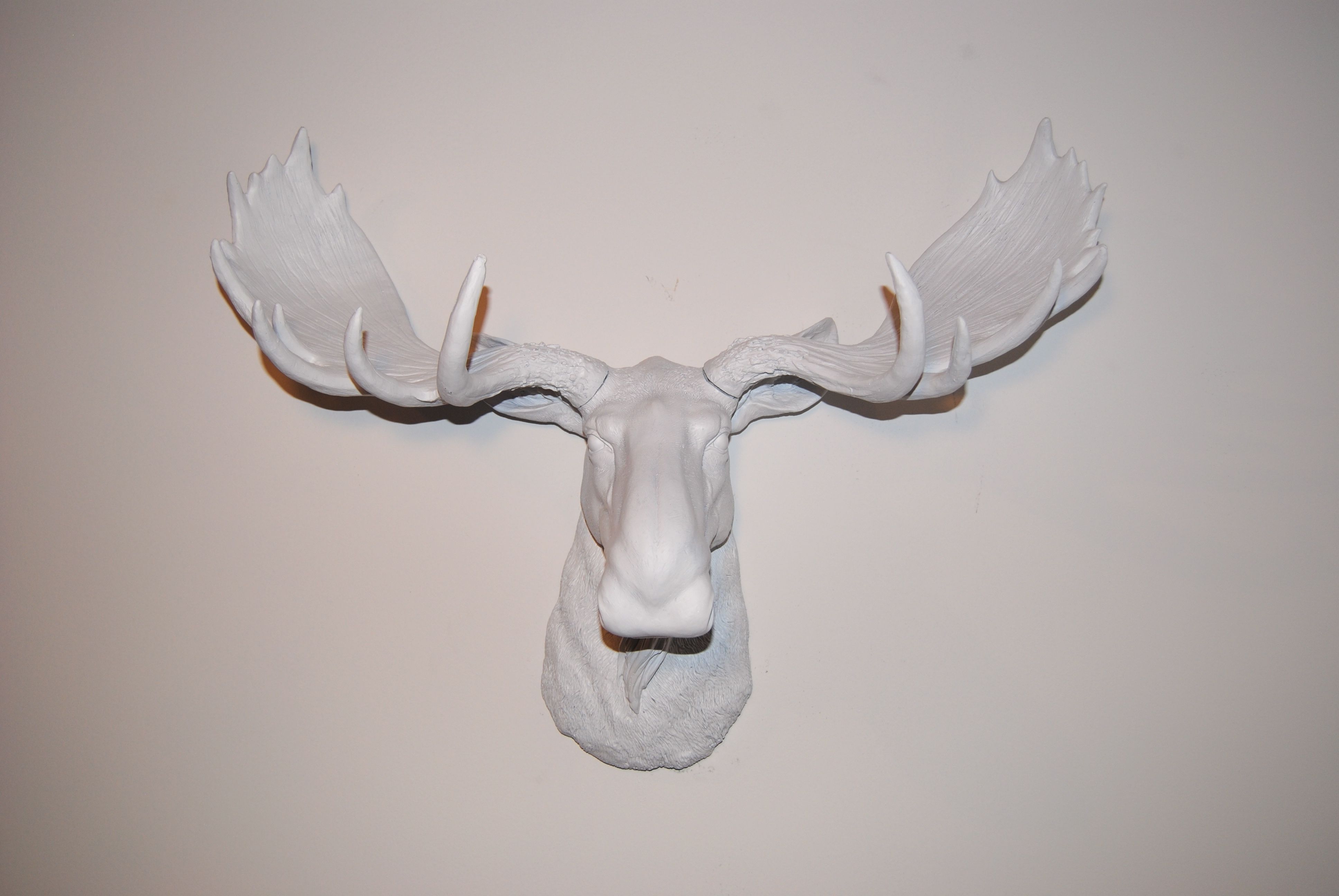 Well Known Atlantis Faux Taxidermy Wall Decor In White Moose Head – White Antlers – Faux Taxidermy Moose, $ (View 18 of 20)