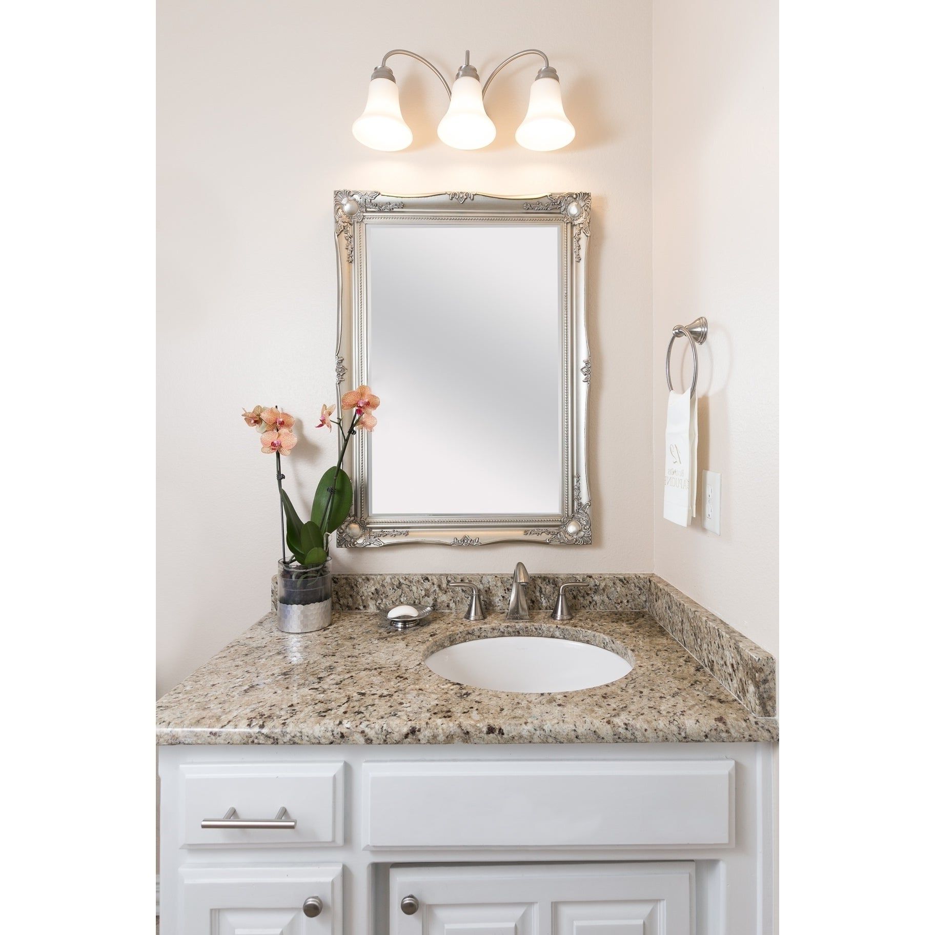 Most Recently Released Selectionschaumont Maissance Traditional Wall Mirror – 26 Inches X 36  Inches With Regard To Traditional Wall Mirrors (View 18 of 20)