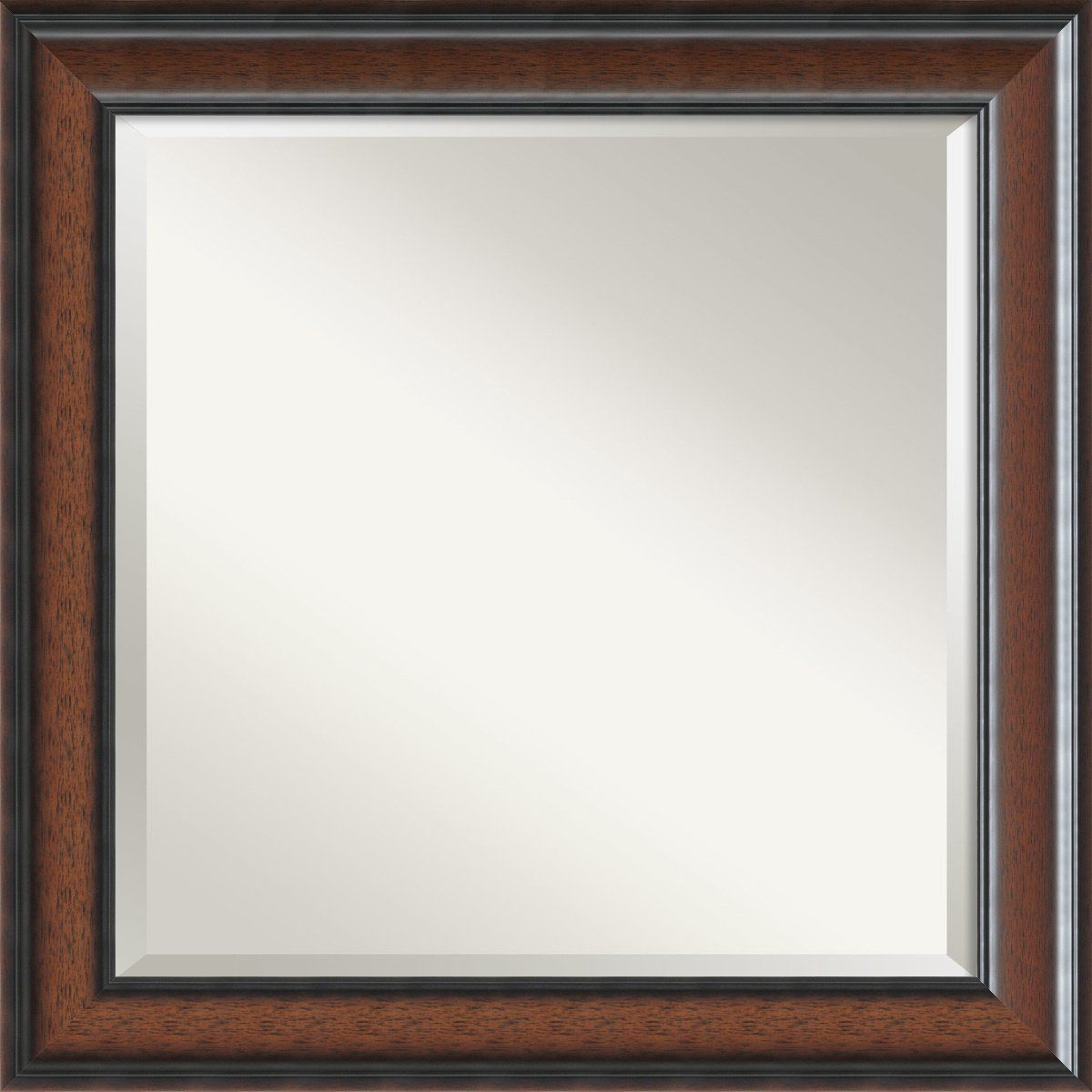 Well Known Framed Mirrors For Wall (View 20 of 20)