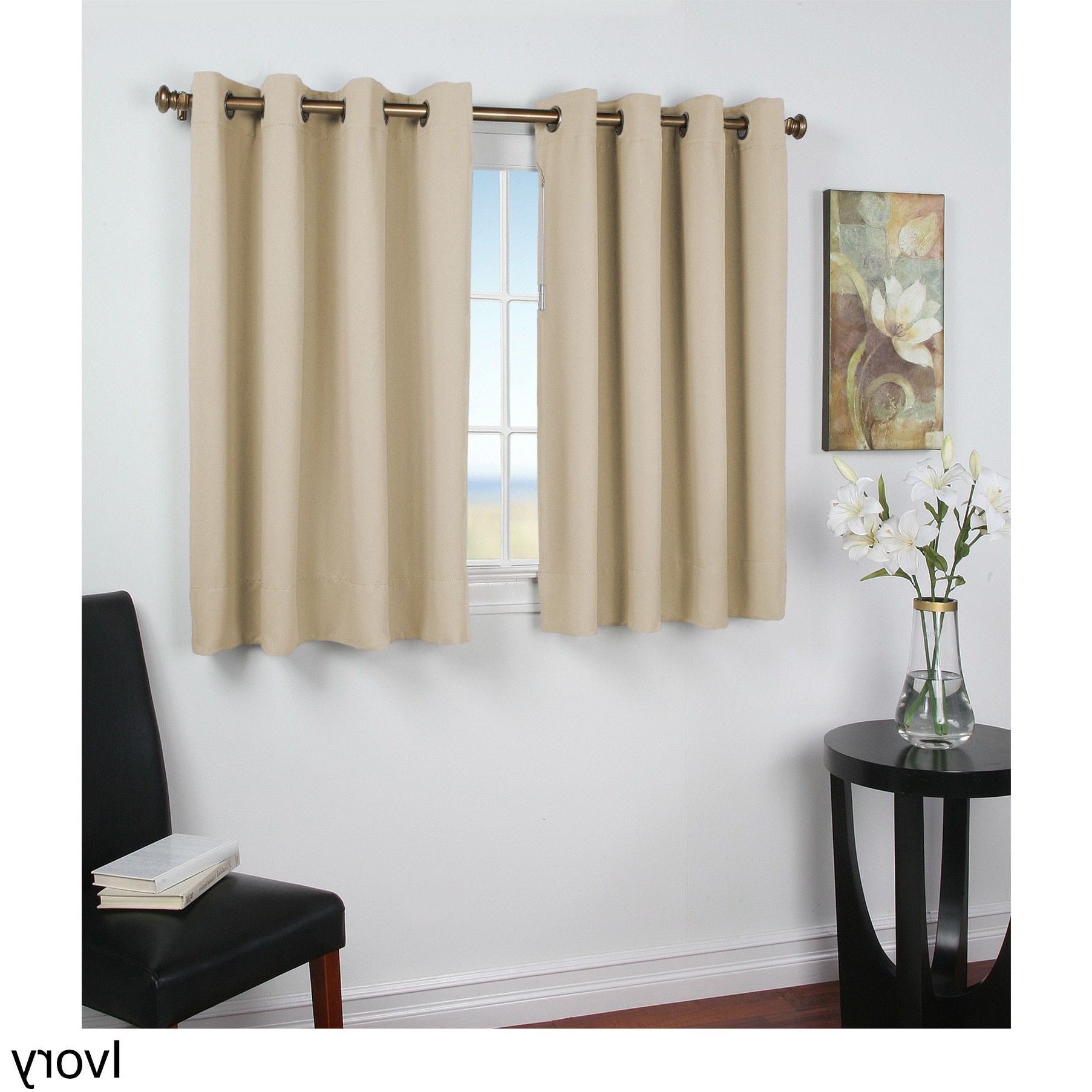 Recent Ricardo Ultimate Blackout 45 Inch Length Grommet Curtain Inside Tacoma Double Blackout Grommet Curtain Panels (View 14 of 20)