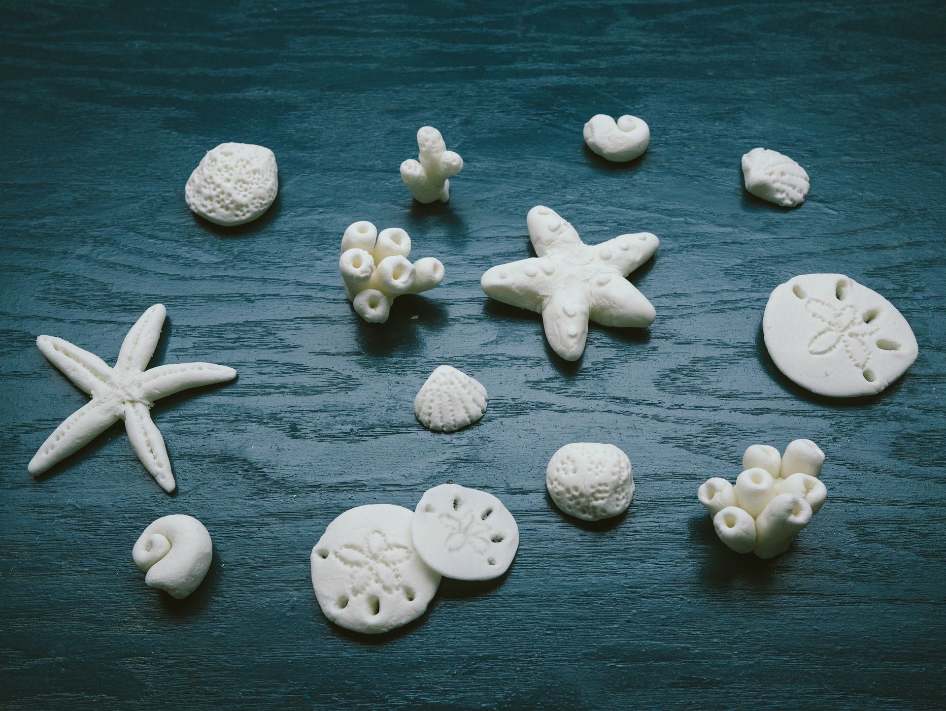 Baking Soda Ocean Art Intended For Preferred Sand Dollar Cluster Wall Décor (Photo 12 of 20)