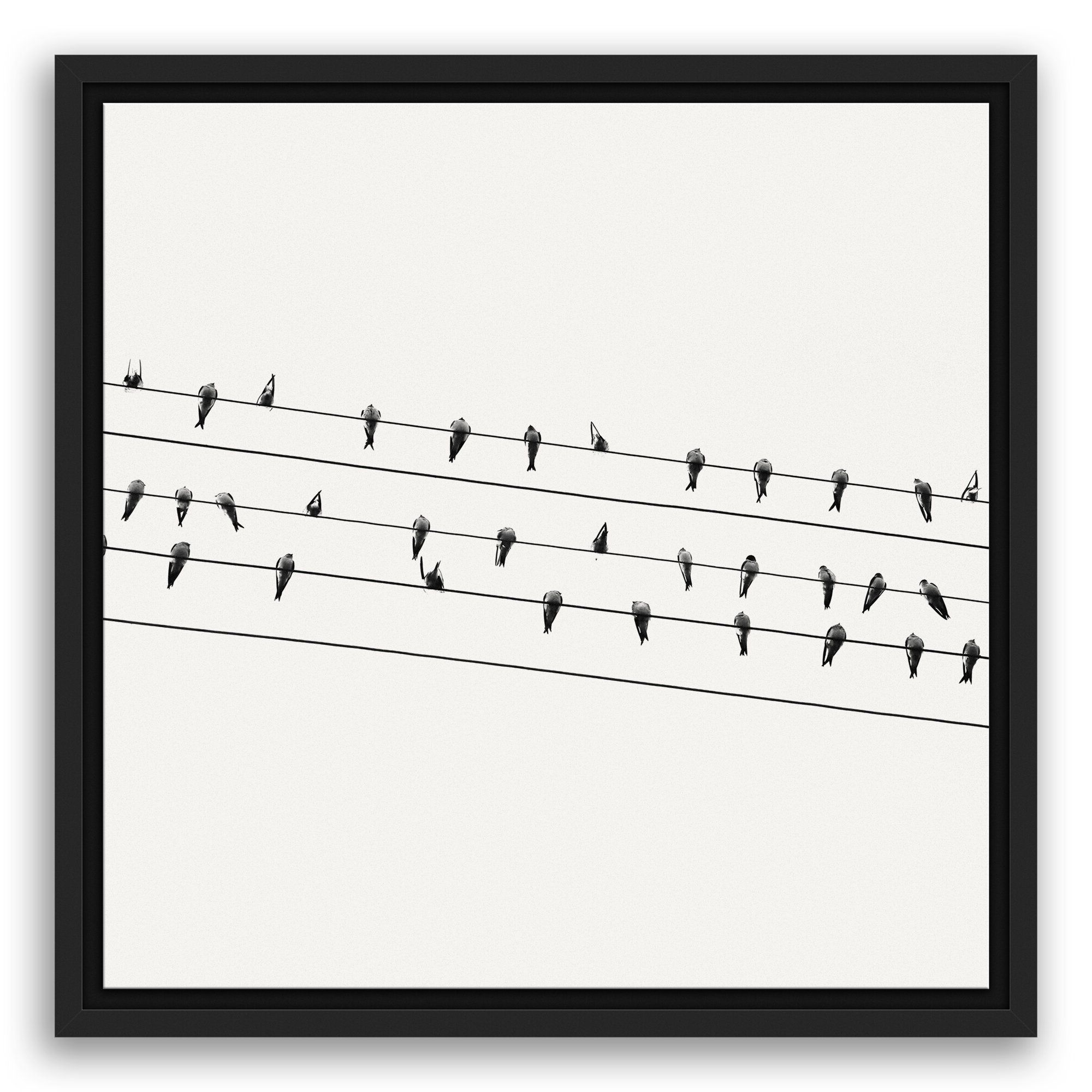 Birds On A Wire Wall Décor By Winston Porter Within Recent 'birds On A Wire' Framed Photographic Print On Canvas (View 5 of 20)