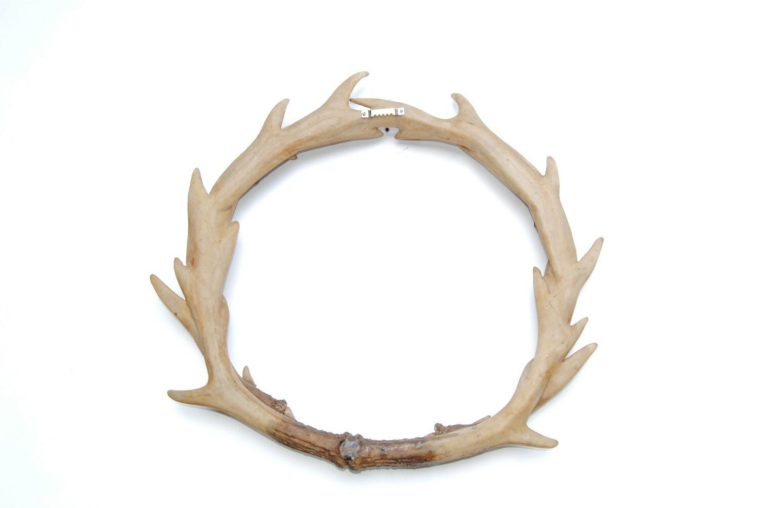 Current Faux Taxidermy Antler Wreath Wall Décor Within Brushed Pearl Over The Door Wall Décor (View 16 of 20)