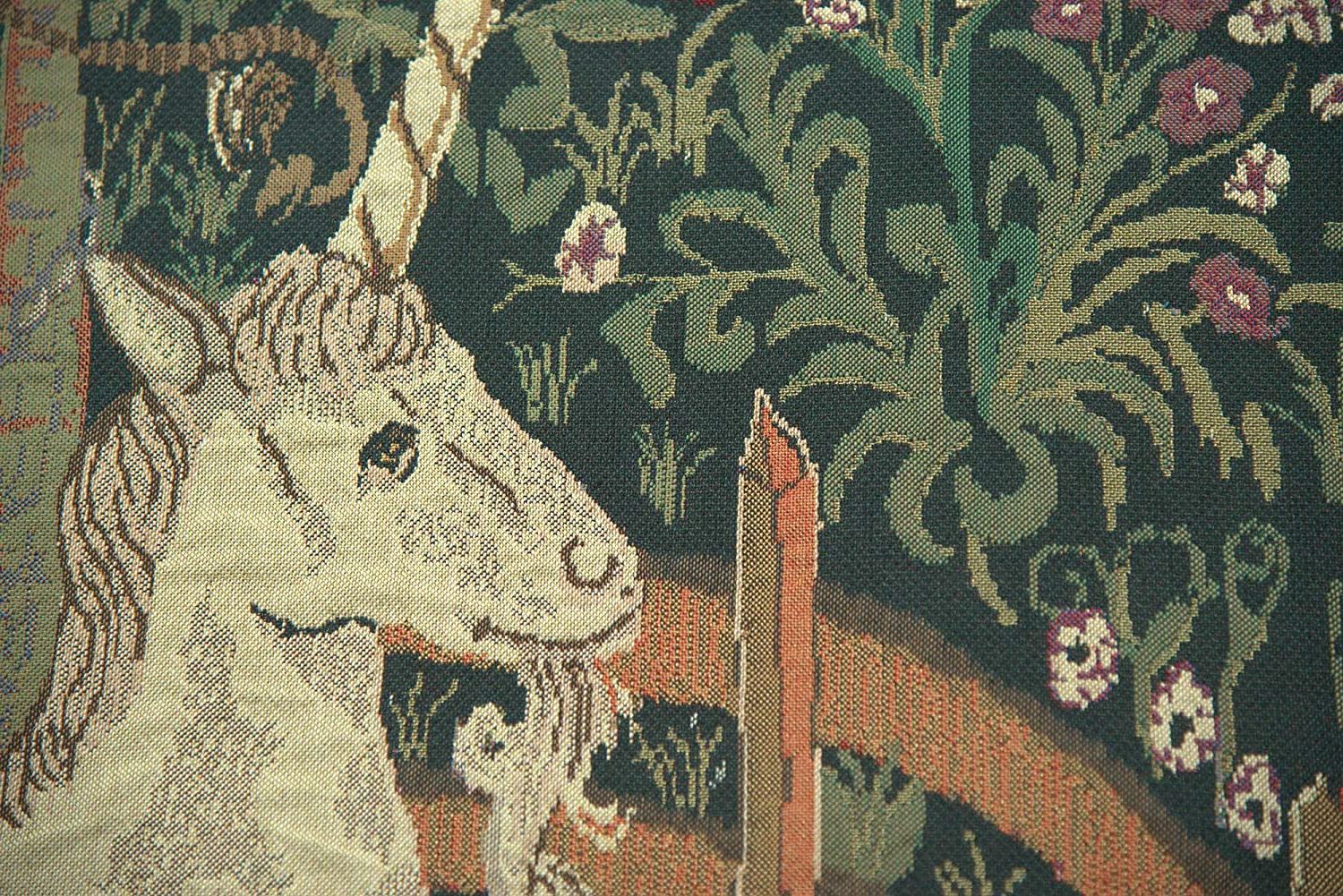 Popular Blended Fabric Unicorn In Captivity Ii (with Border) Wall Hangings Pertaining To Amazon: Charlotte Home Furnishing Inc (View 7 of 20)