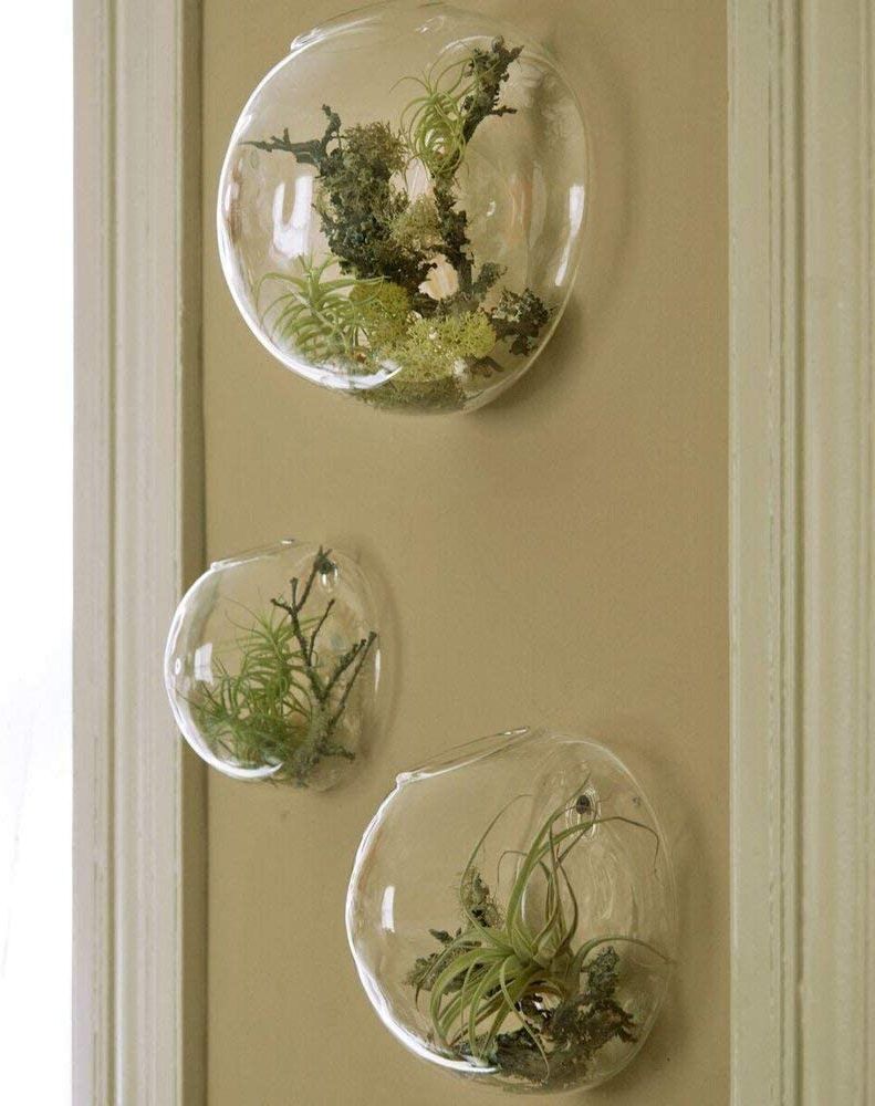 Three Glass Holder Wall Décor Inside Most Recent Set Of 3 Wall Hanging Terrariums Indoor Plants Holders Wall Glass Vase For  Flowers Wall Mounted Planters For Succulents Air Plants Wall Decoration For (Photo 4 of 20)