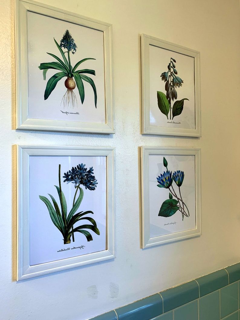 Best And Newest Framed Set Of 4 Blue Botanical Print Set Redoute Botanical Regarding Flower Framed Art Prints (View 1 of 20)