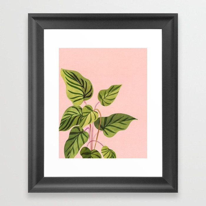 Buy Upstart / Tropical Plant Framed Art Print In Well Known Tropical Framed Art Prints (View 7 of 20)
