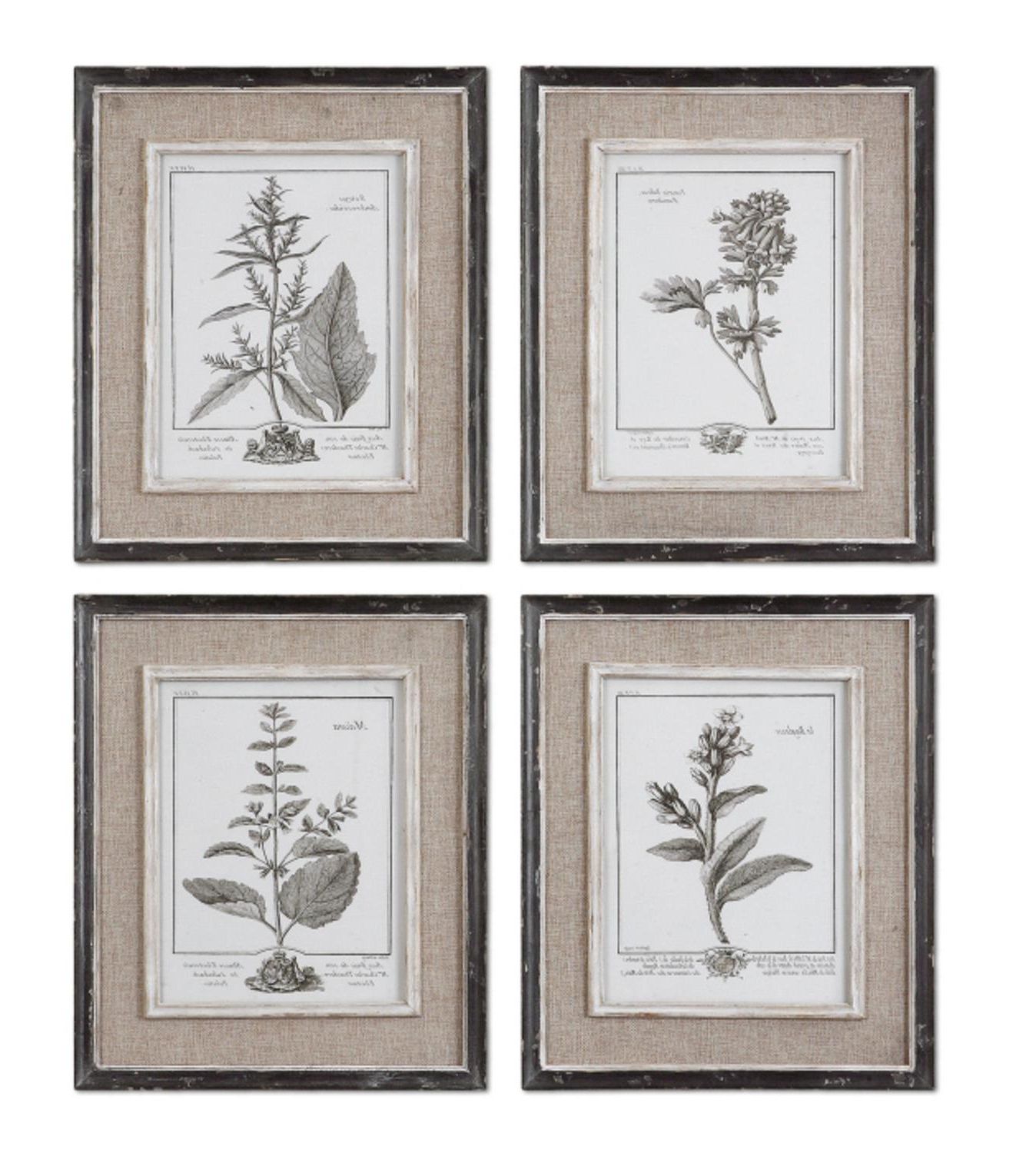 Colorful Framed Art Prints Pertaining To Most Recently Released Set Of 4 Framed Gray Botanical Flower Study Prints Wall (View 3 of 20)