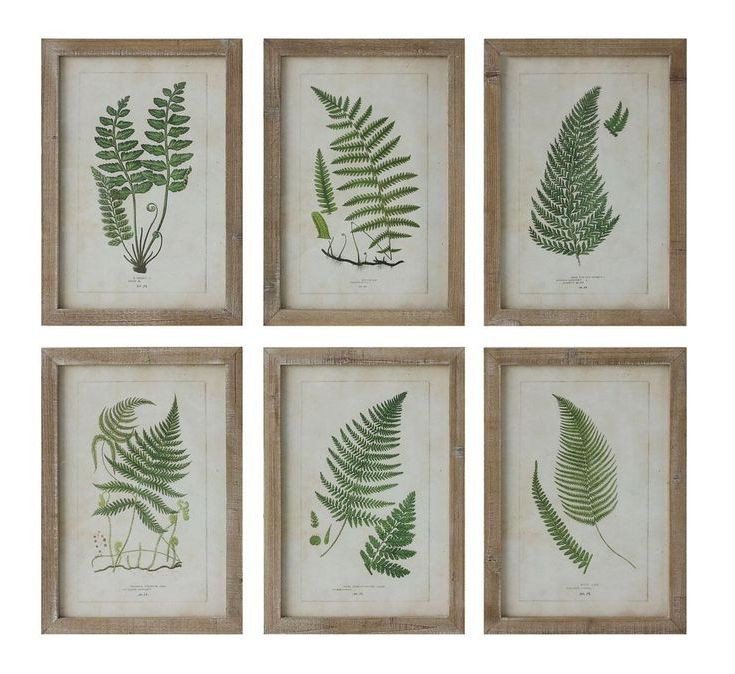 Farmhouse Botanical Prints In  (View 7 of 20)