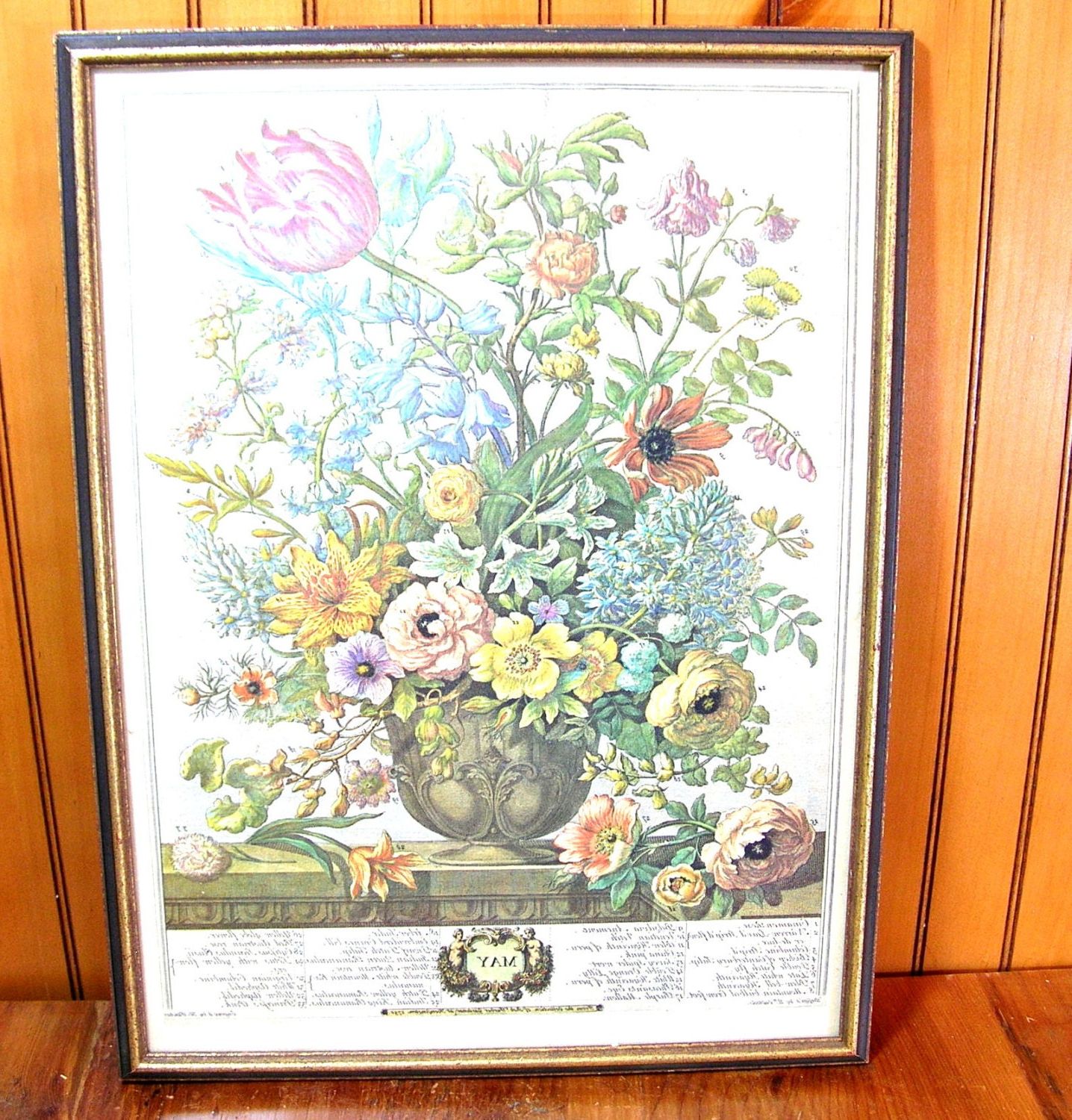 Flower Framed Art Prints Pertaining To Trendy Williamsburg Flower Of The Month Print May Framed Vintage (View 10 of 20)