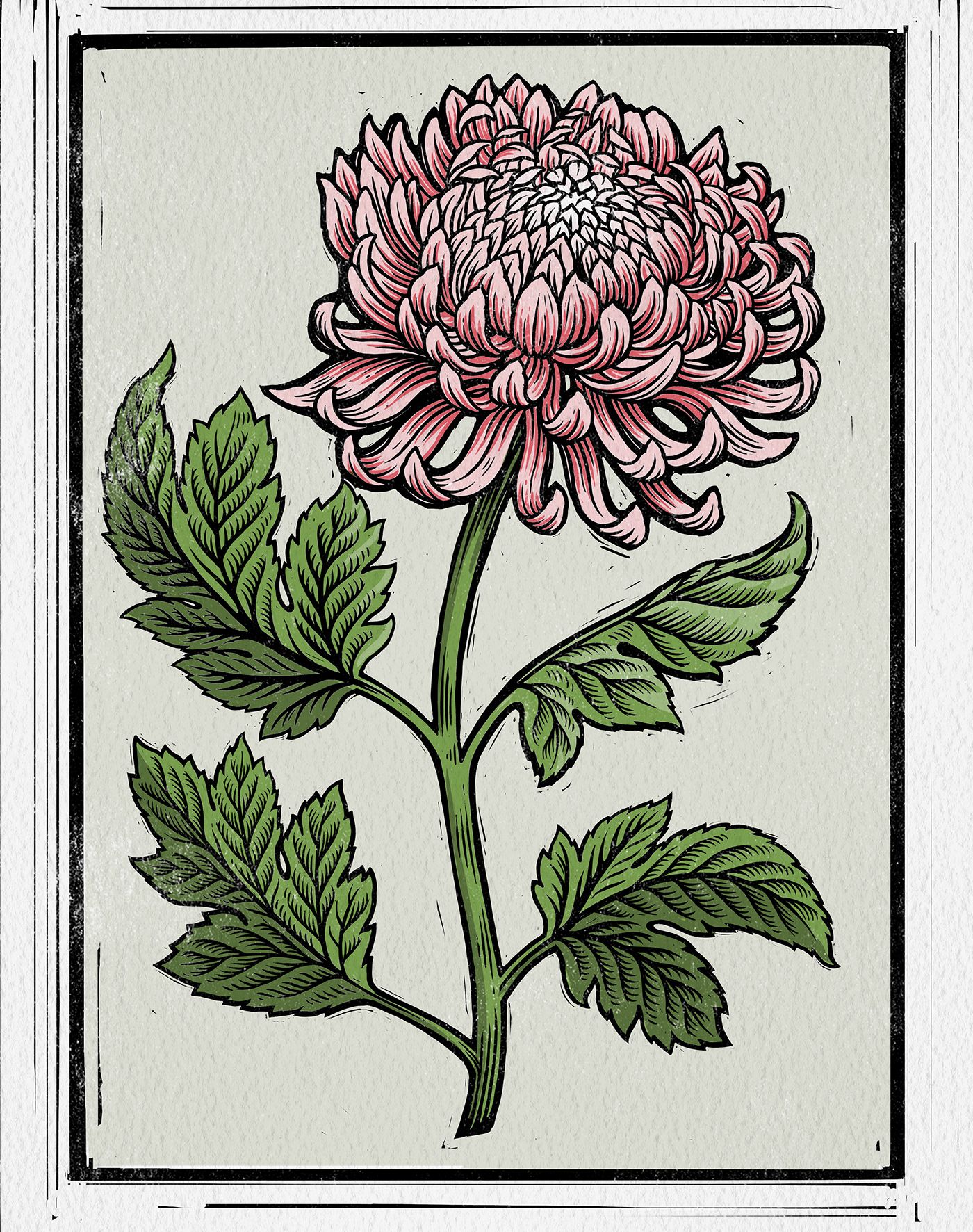 Flower Prints On Behance With Recent Flower Framed Art Prints (View 16 of 20)