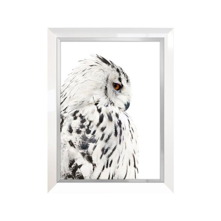 Framed Prints, Lovers Art, White Frame In The Owl Framed Art Prints (View 17 of 20)