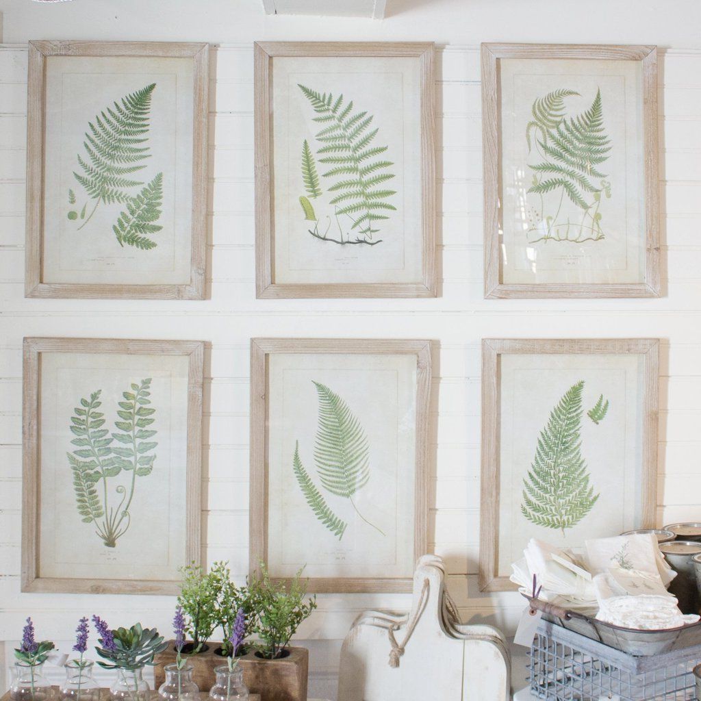 Green Fern Botanical Prints With Rustic Frame Set Of 6 Inside Widely Used Natural Framed Art Prints (View 9 of 20)