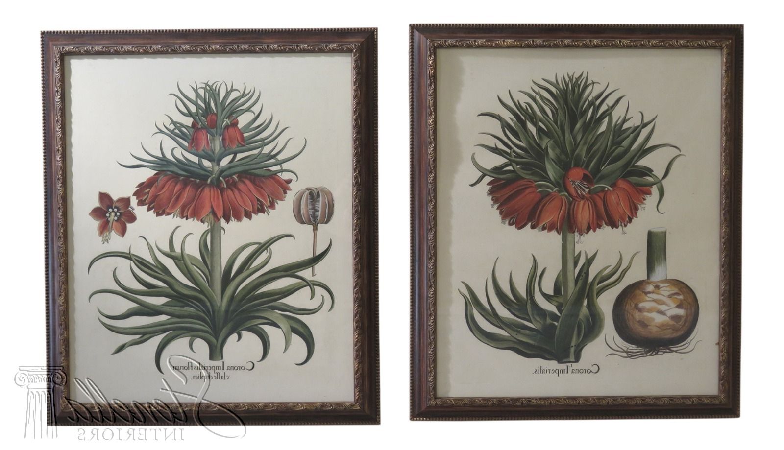 Lf31570ec: Pair Large Framed Botanical Decorative Art Regarding Most Recently Released Colorful Framed Art Prints (View 2 of 20)