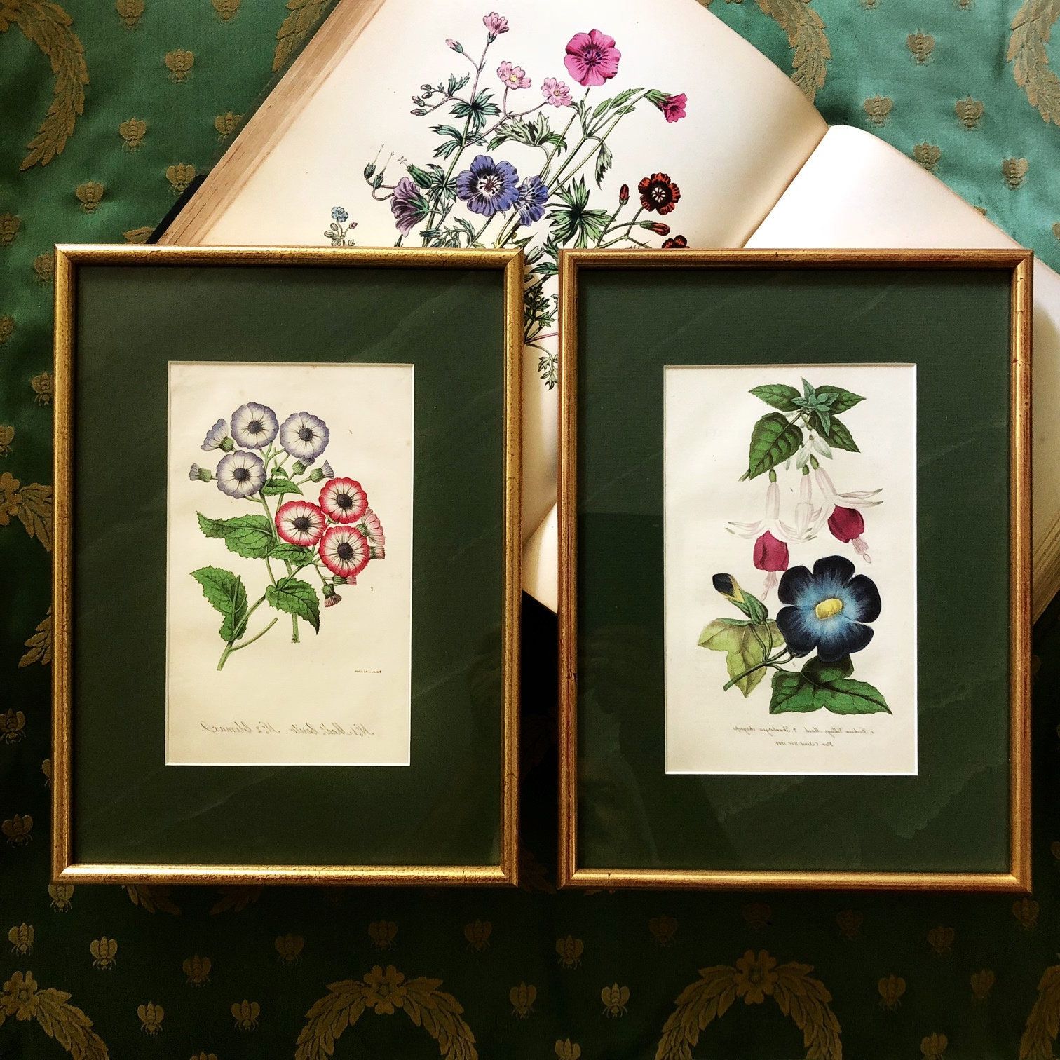 Lines Framed Art Prints With Regard To Best And Newest Antique British Botanical Prints, A Fabulous Pair Of (View 3 of 20)