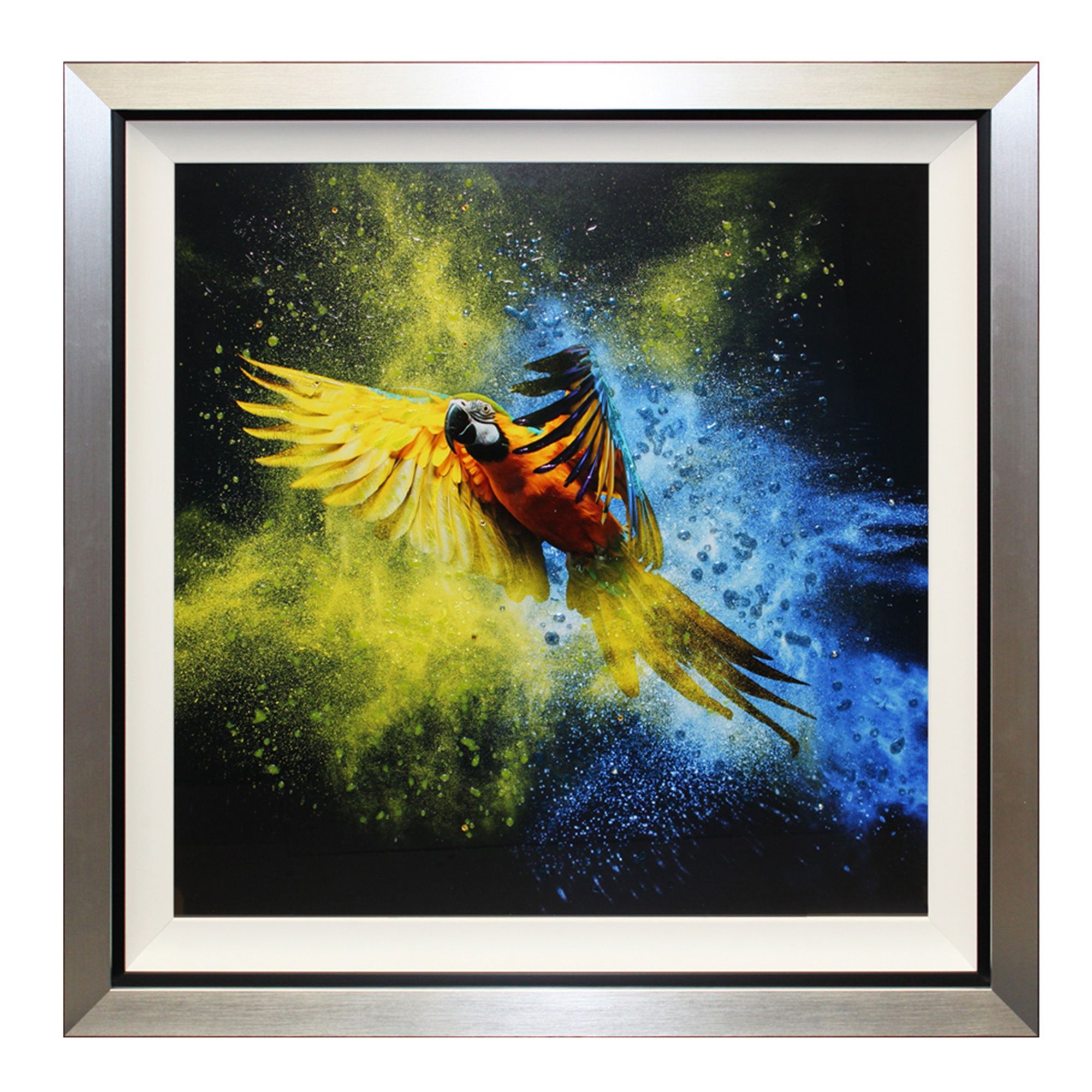 Liquid Wall Art For Latest Pictures Flying Colours Iii Liquid Art Framed Print (View 13 of 20)
