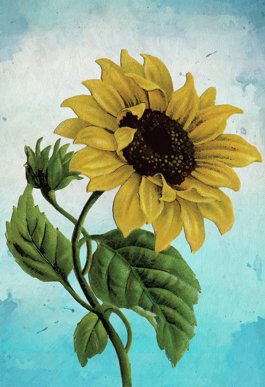 Most Up To Date Flower Framed Art Prints With Sunflower Print Set Of Two Wall Art Botanical Prints (View 19 of 20)