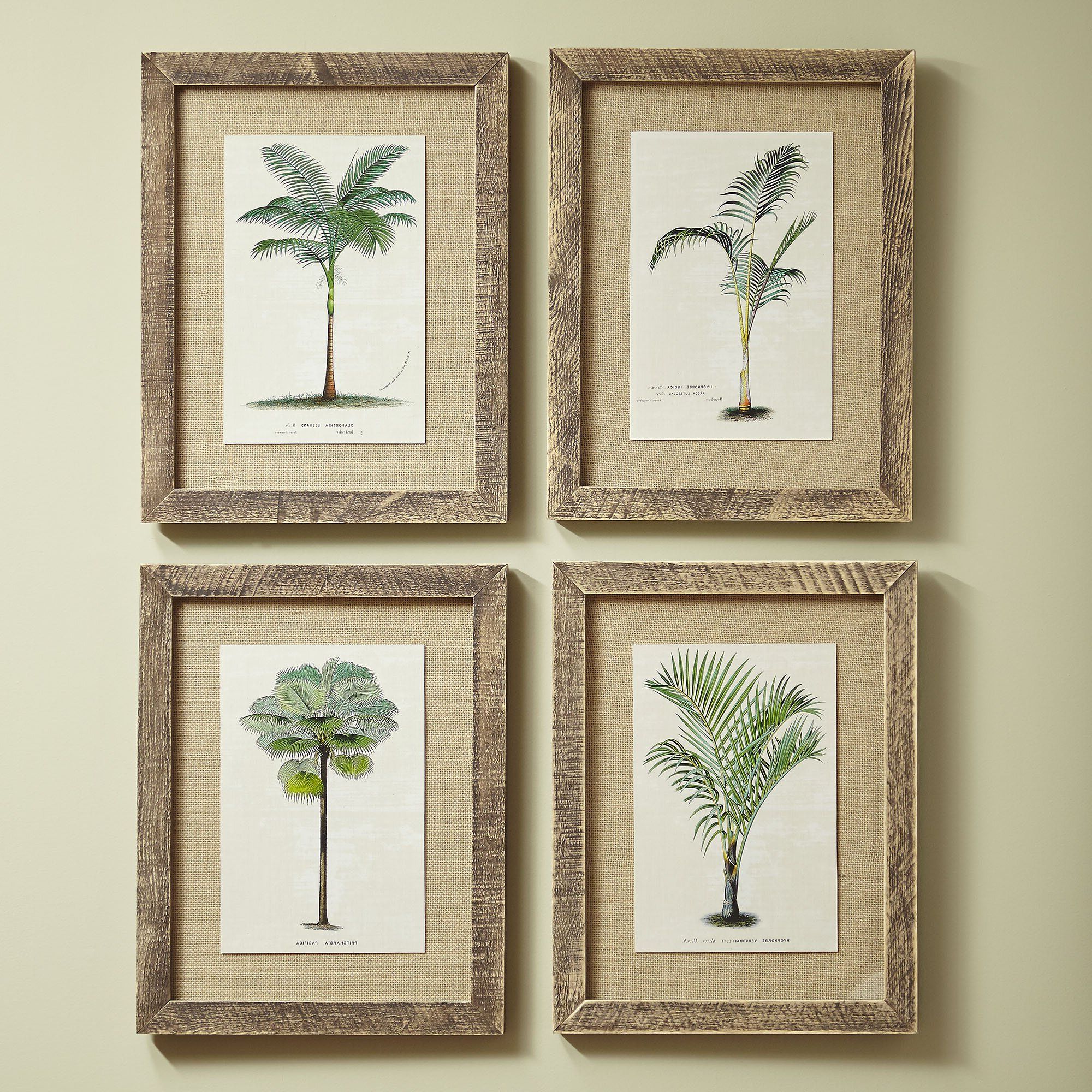 Preferred Birch Lane Palm Tree Framed Prints & Reviews (View 14 of 20)