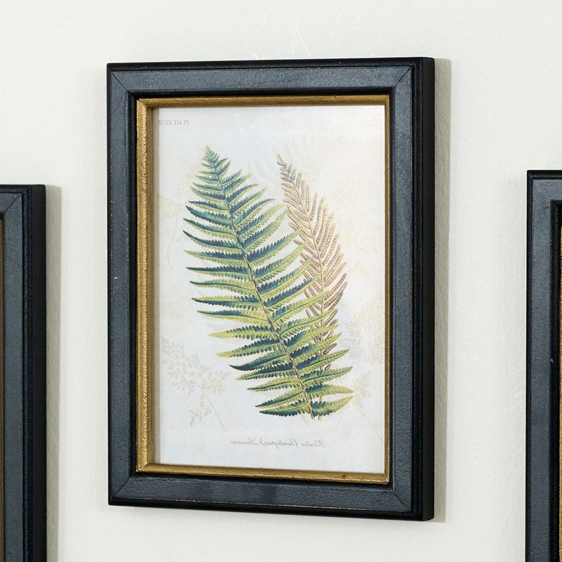 Set Of 3 Framed Fern Wall Prints – Windsor Browne Within Most Recently Released Colorful Framed Art Prints (View 5 of 20)
