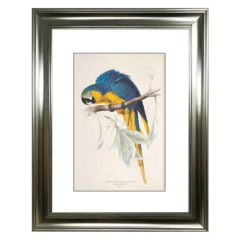 Tropical Framed Art Prints With Most Recently Released Tropical Birds Parrot Framed Print Wall Art 16 X 12 Inch (View 10 of 20)