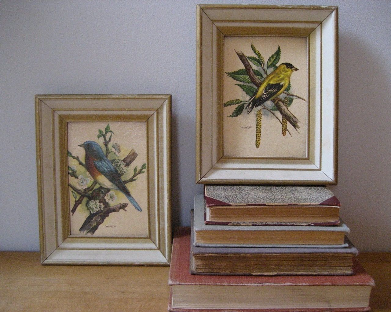 Well Known Lines Framed Art Prints Within Vintage Pair Of Framed Bird Prints (View 6 of 20)